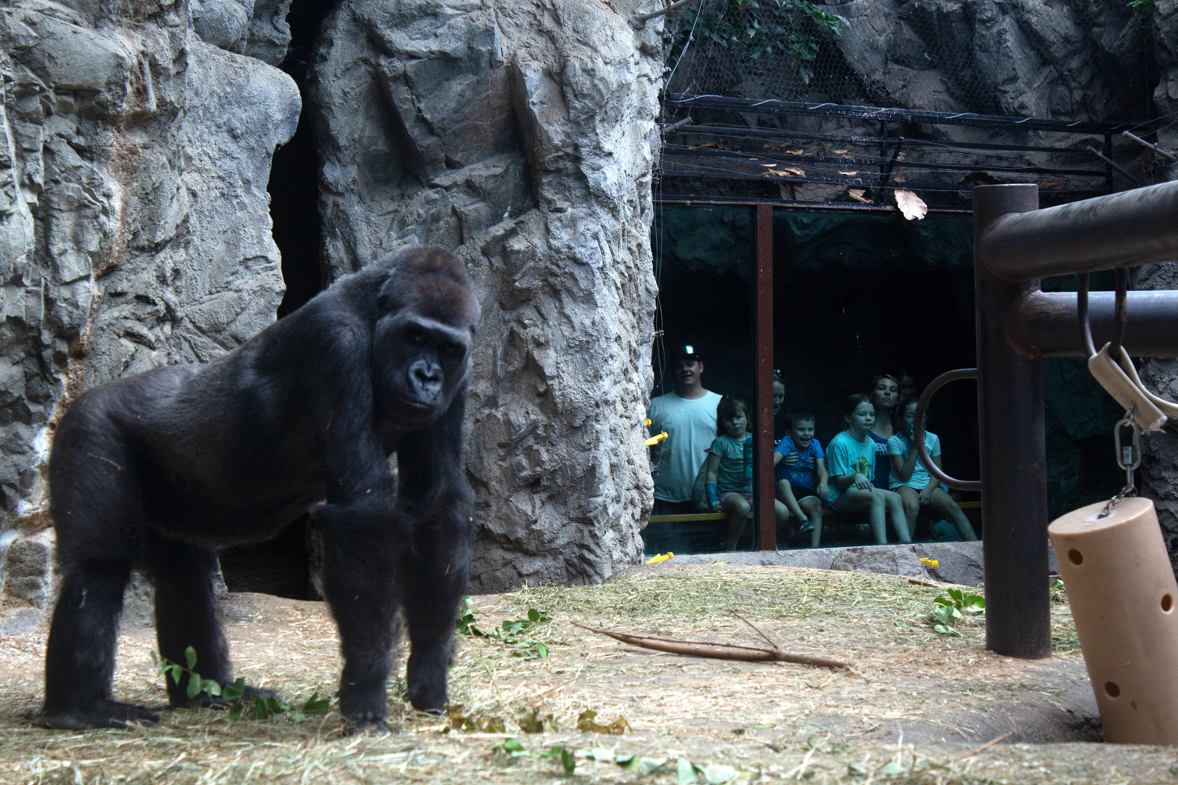 Buffalo Zoo. Buffalo, NY