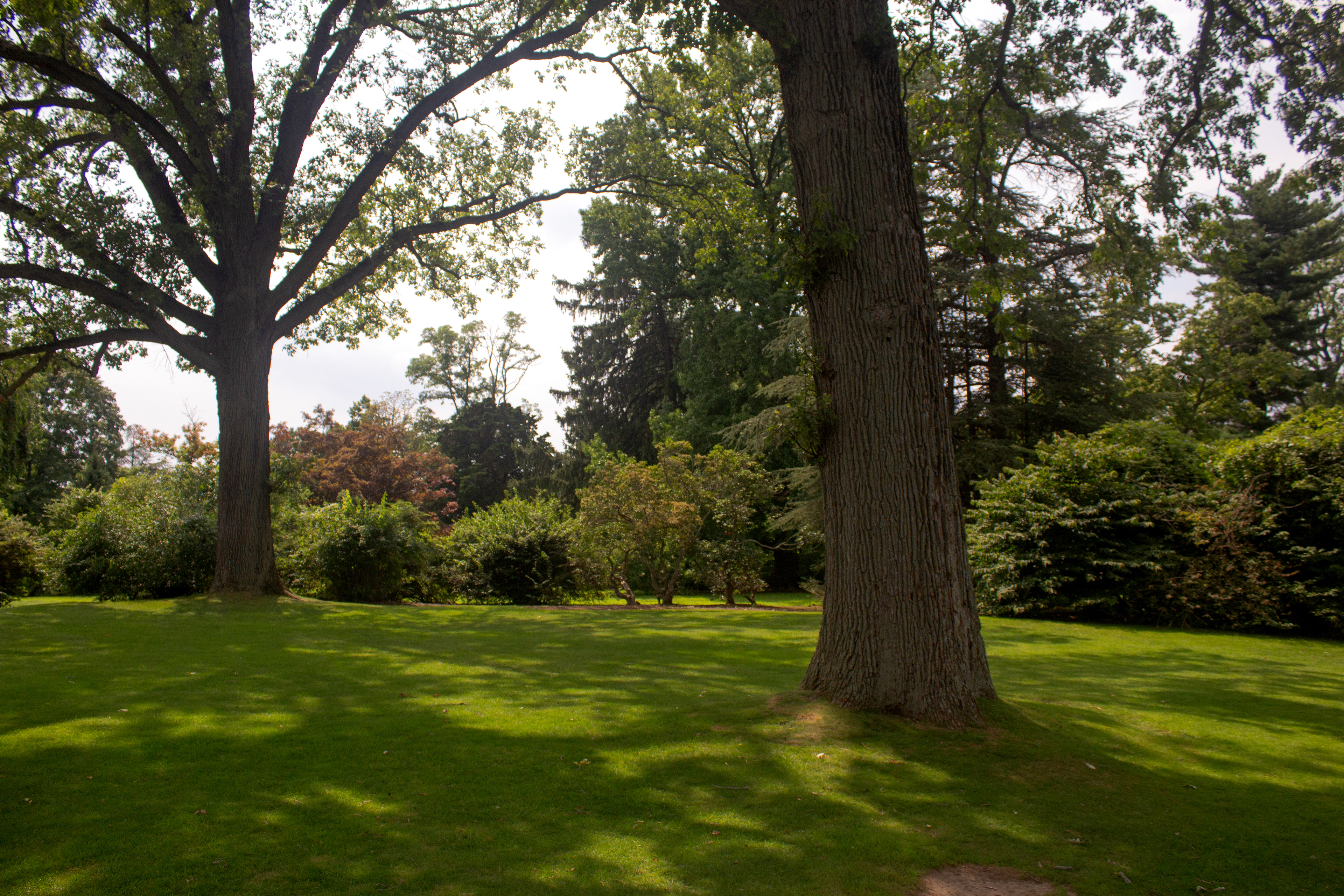 Near the West Pond. Old Westbury, NY.