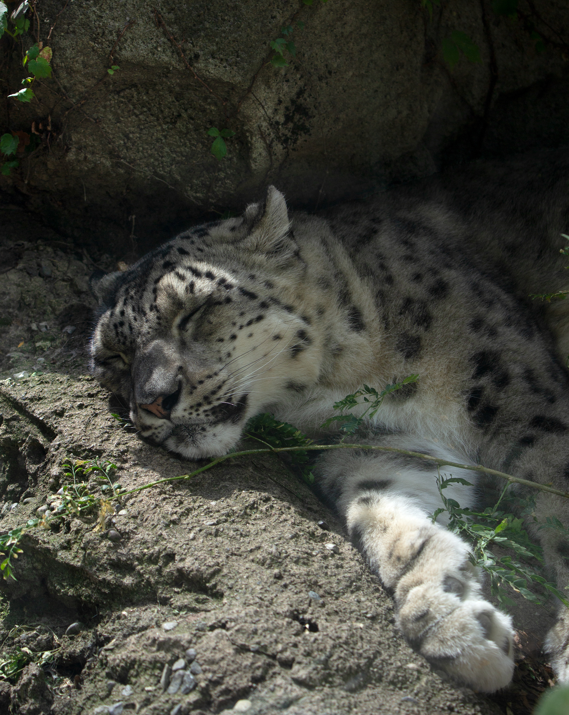 The Buffalo Zoo. Buffalo, NY