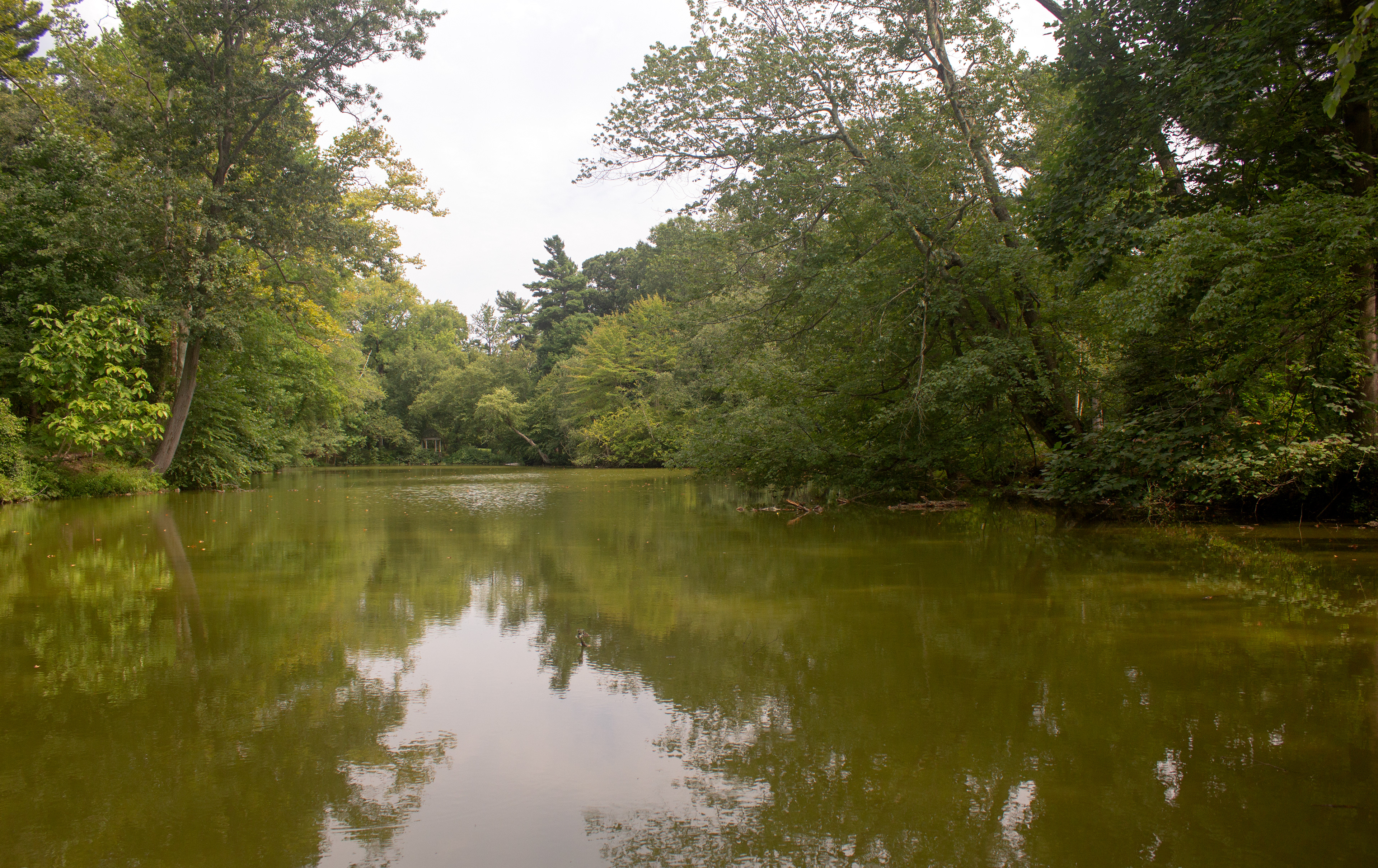 The East Lake of the Westbury House