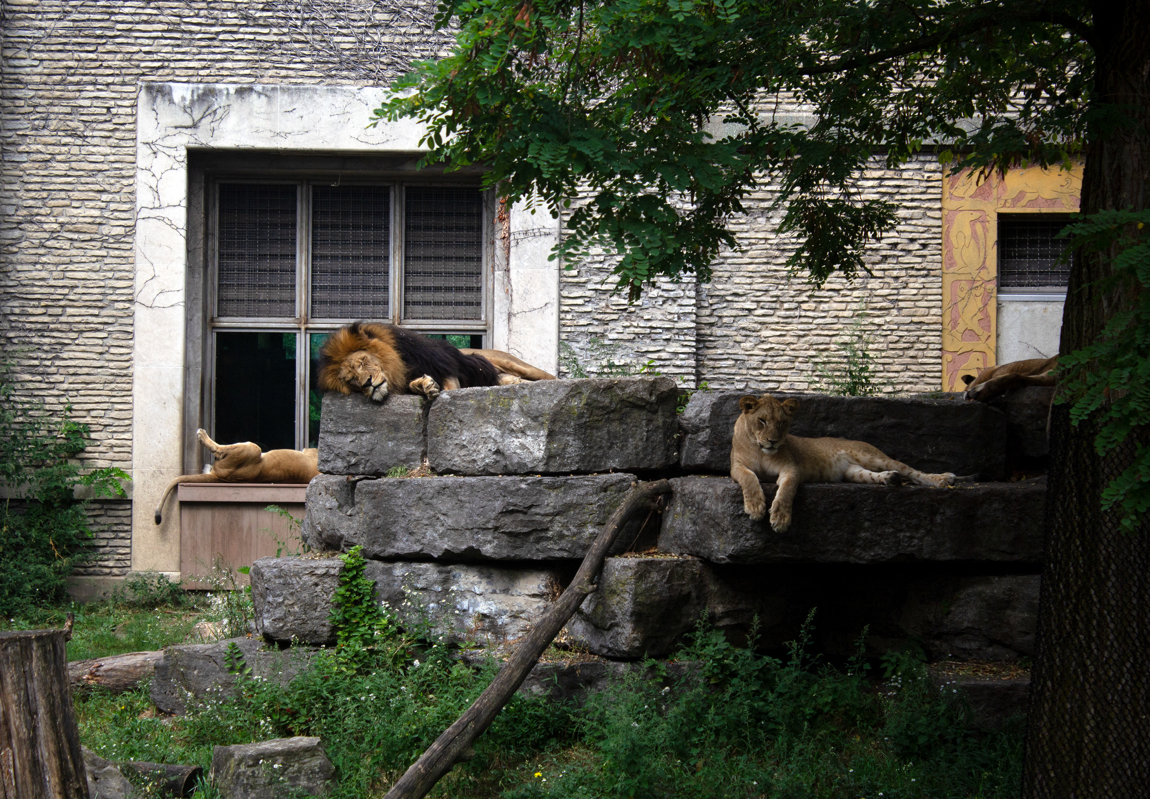 Buffalo Zoo. Buffalo, NY