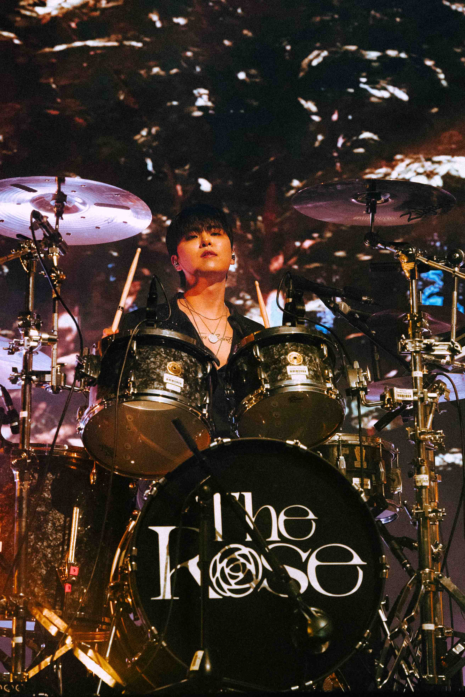 the rose