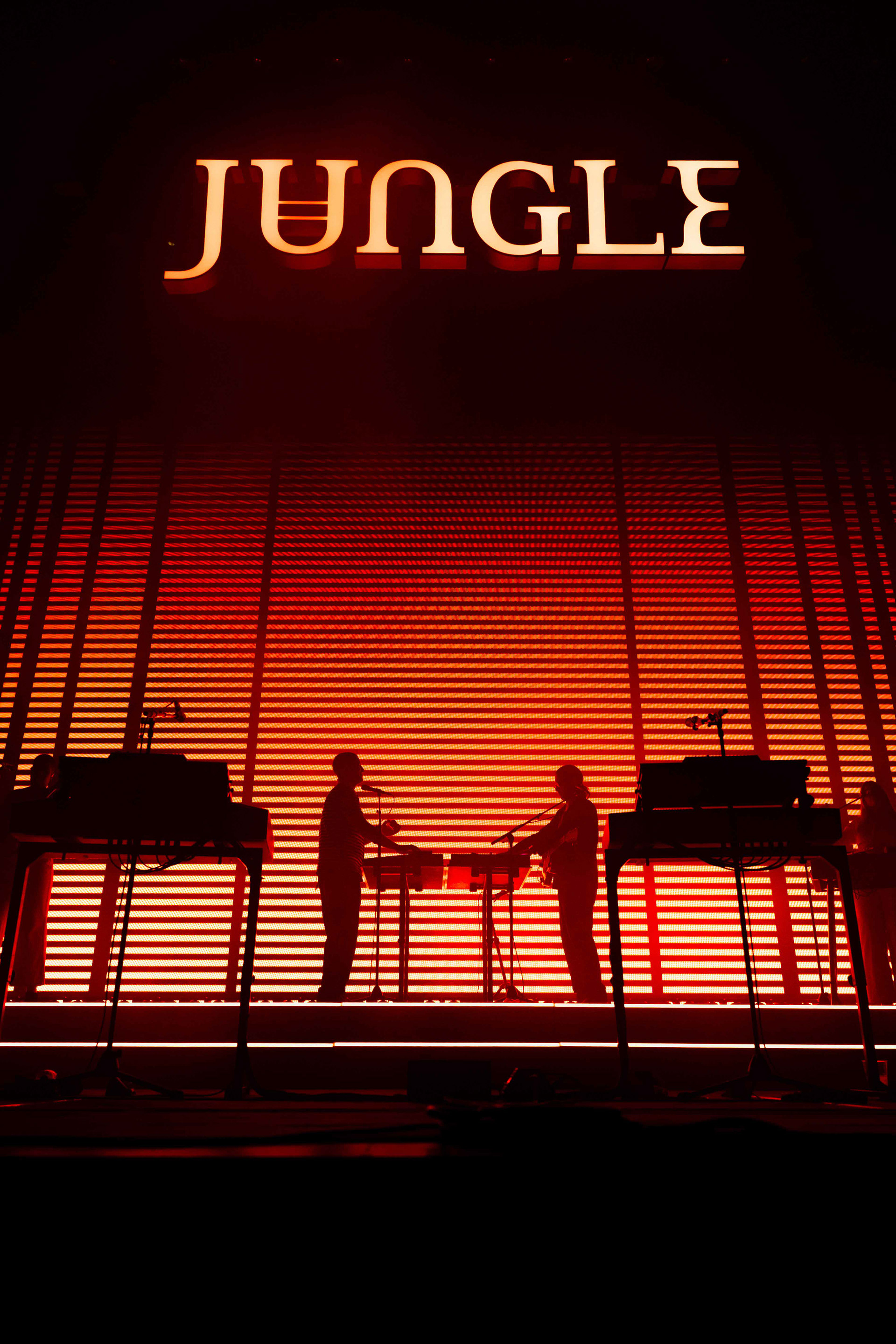 jungle