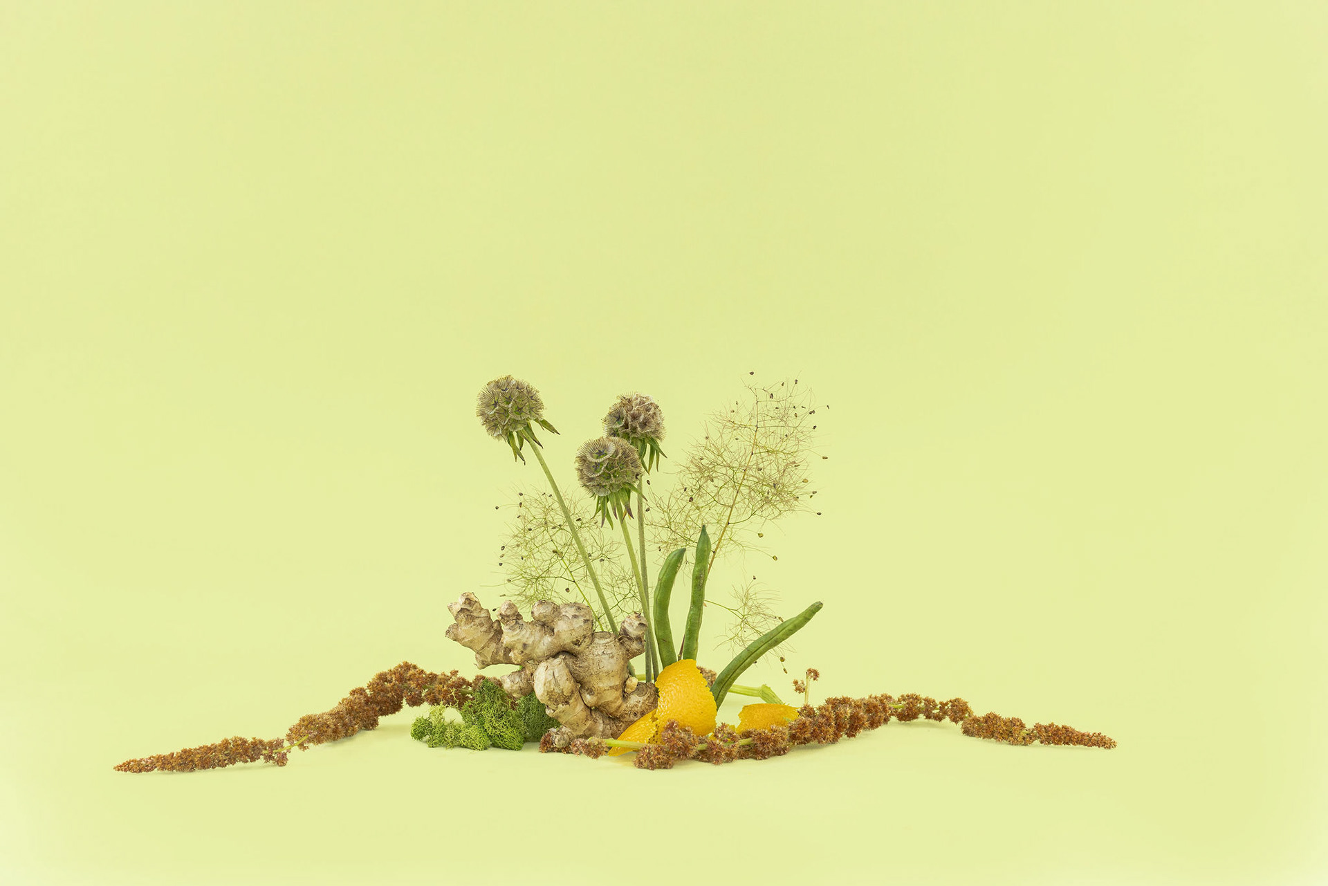 Test Shoot - Art Director and Stylist