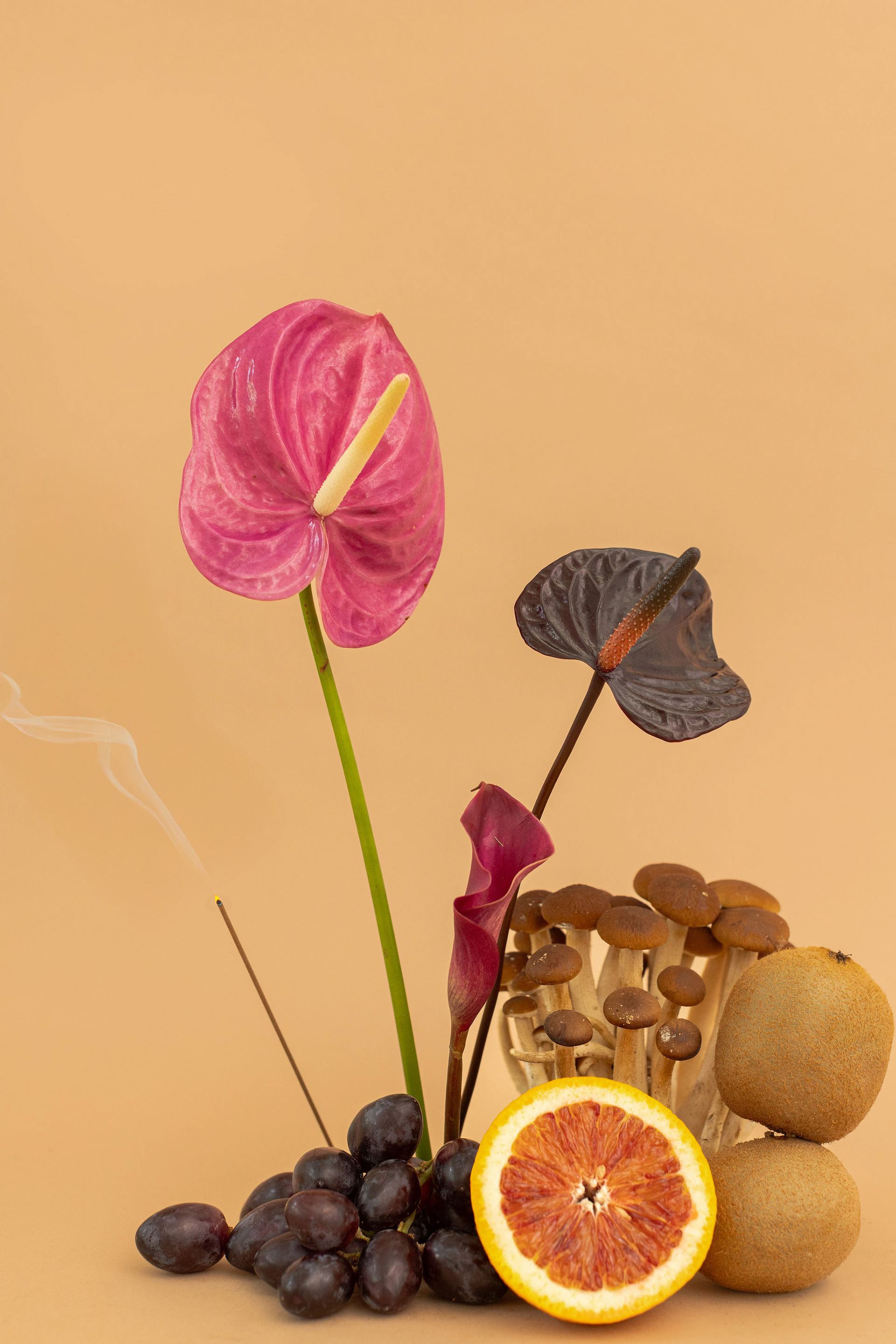 Test Shoot - Art Director and Stylist