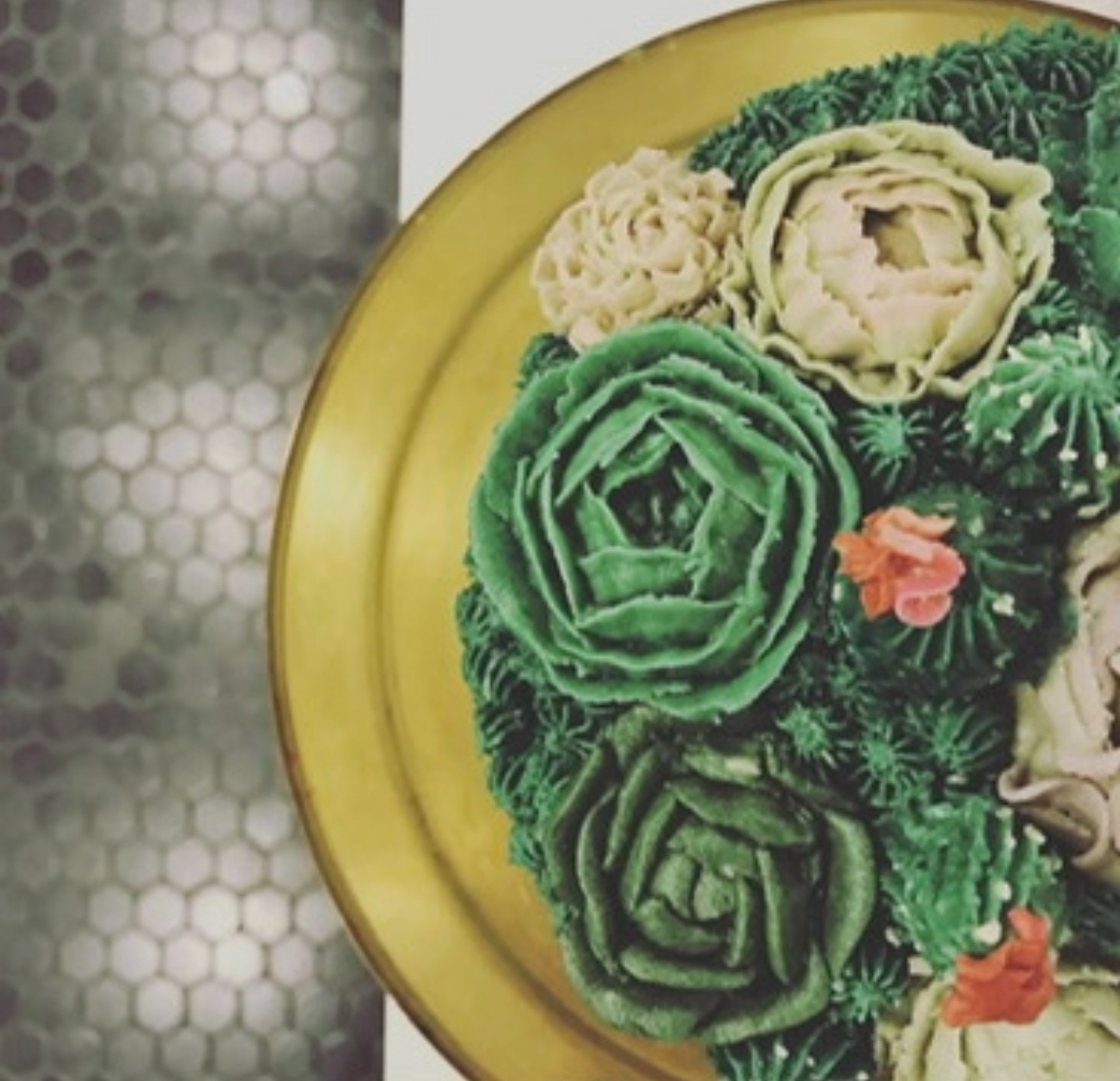 Succulent Cake - Age 12