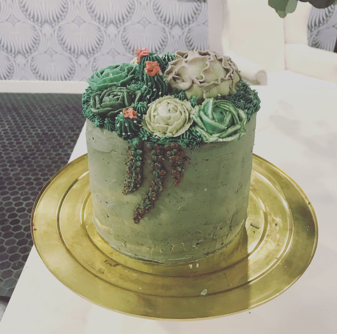 Succulent Cake - Age 12