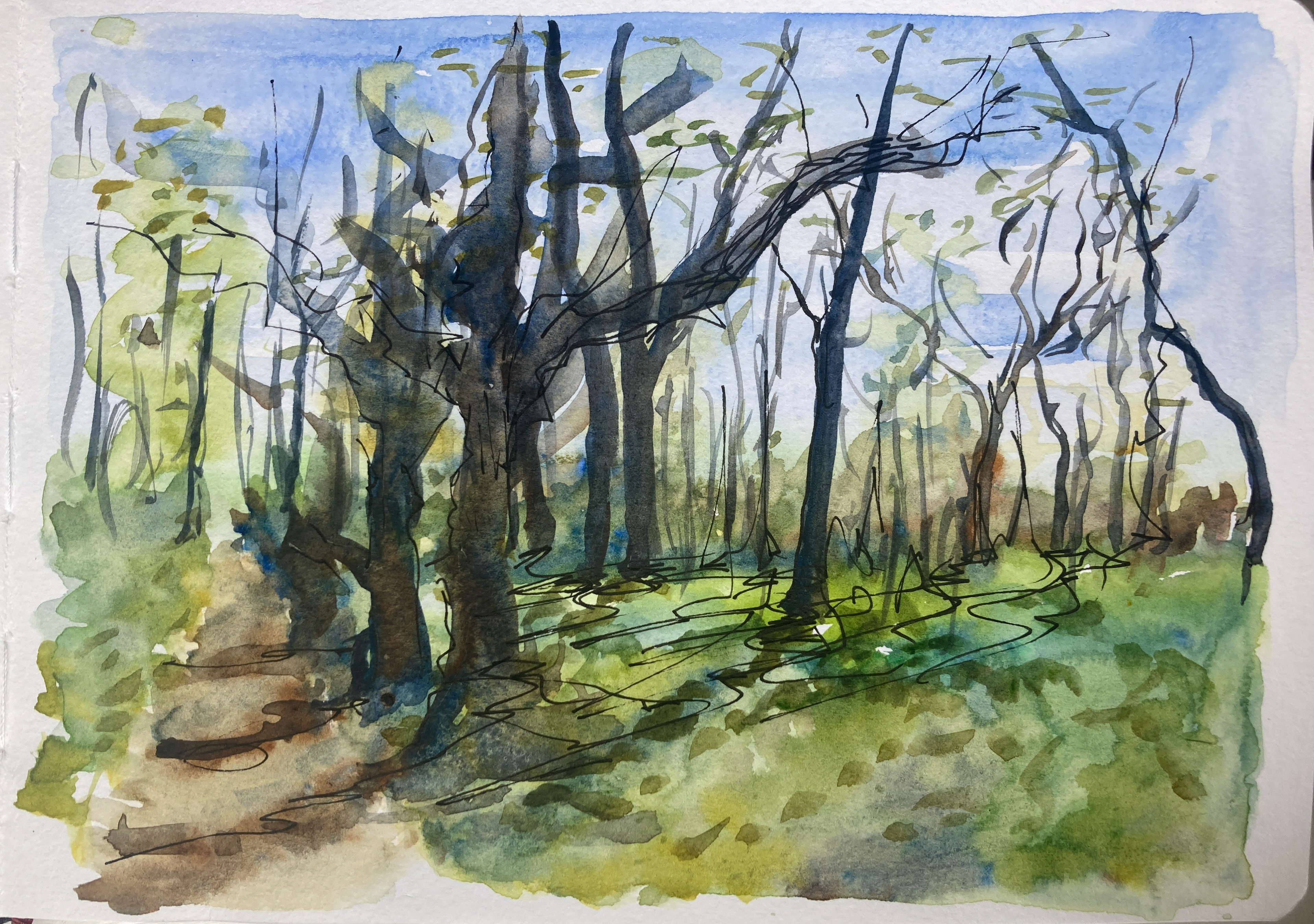 Path along the Wey - A5 Watercolour sketch
