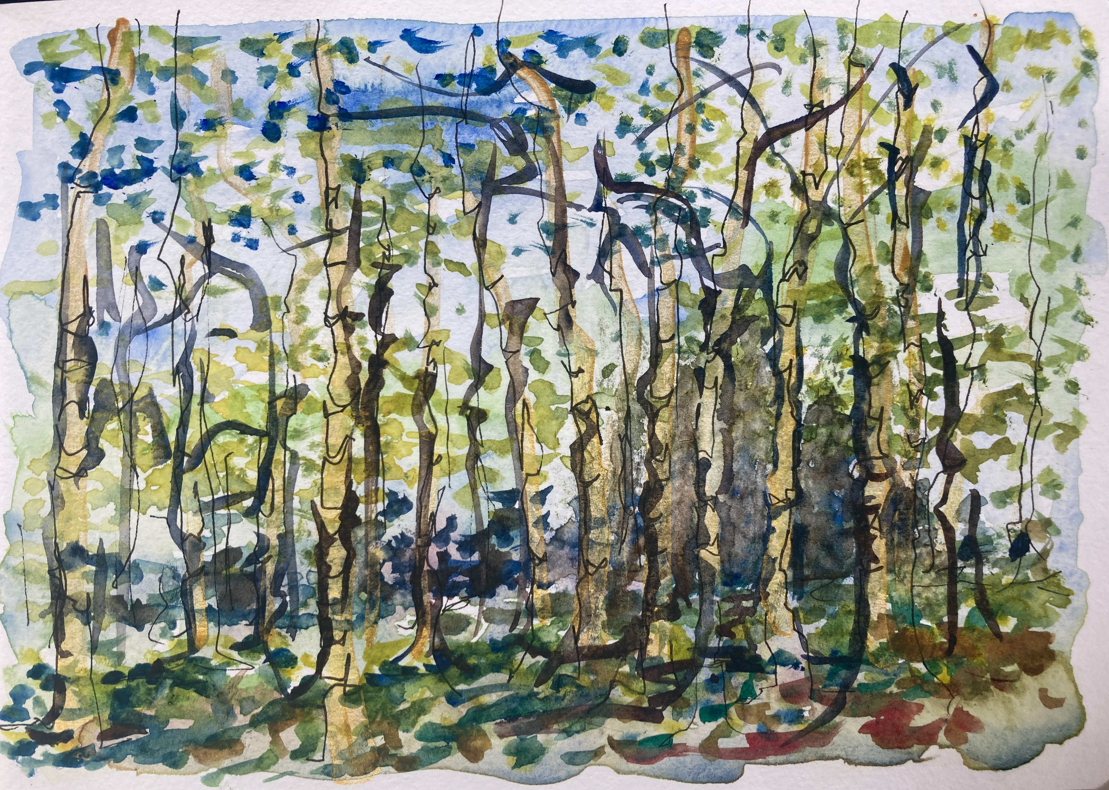 Sketchbook Watercolour A5 - Surrey Woodland 2024