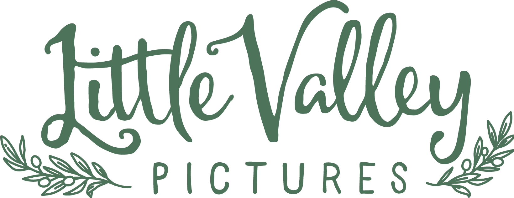 Little Valley Pictures Newborn Photography