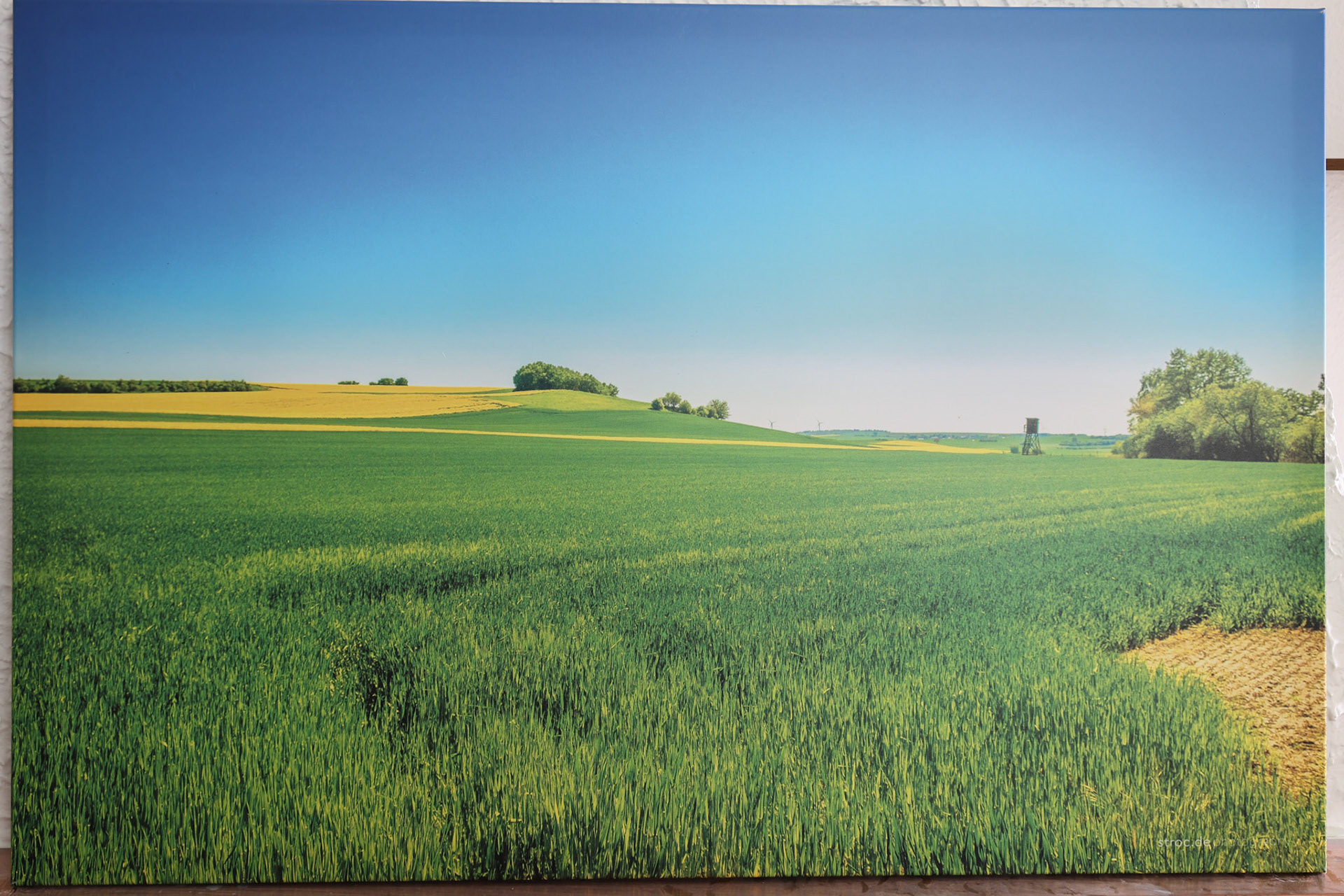 5 (120x80)