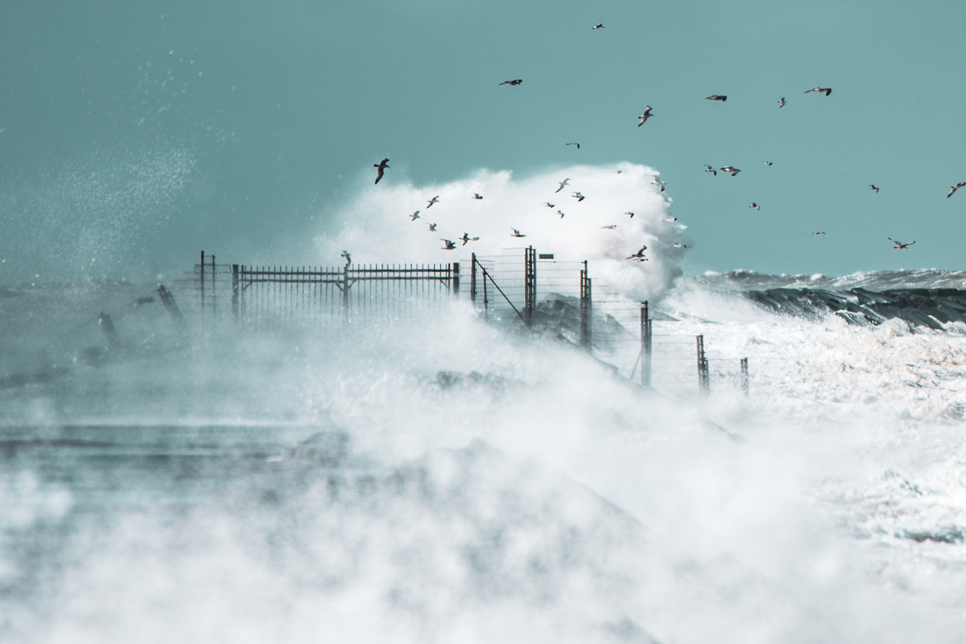 IJmuiden Pier overflowing