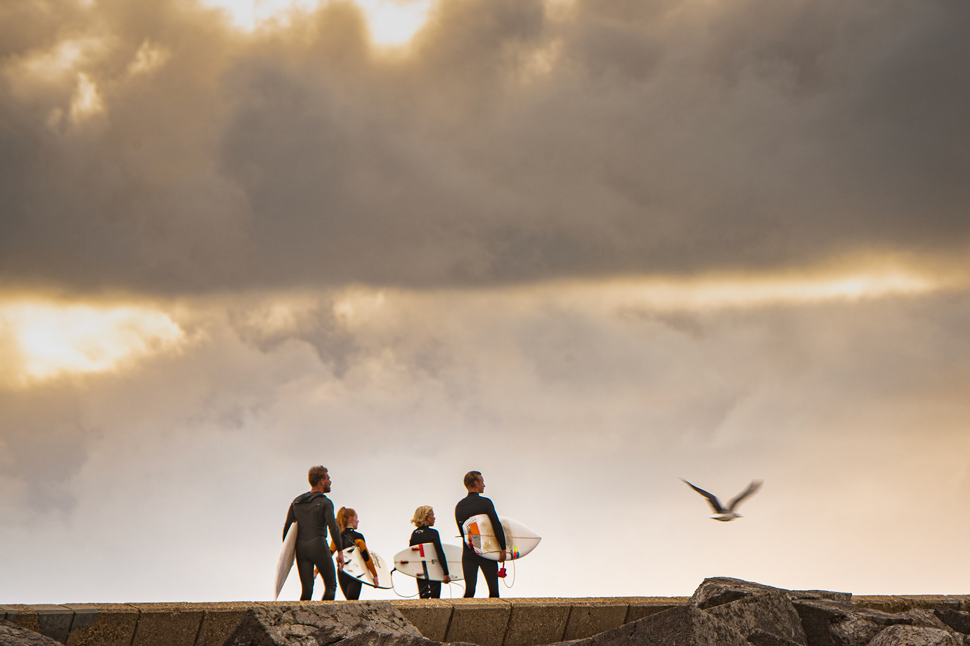 Surf check (Wijk pier)