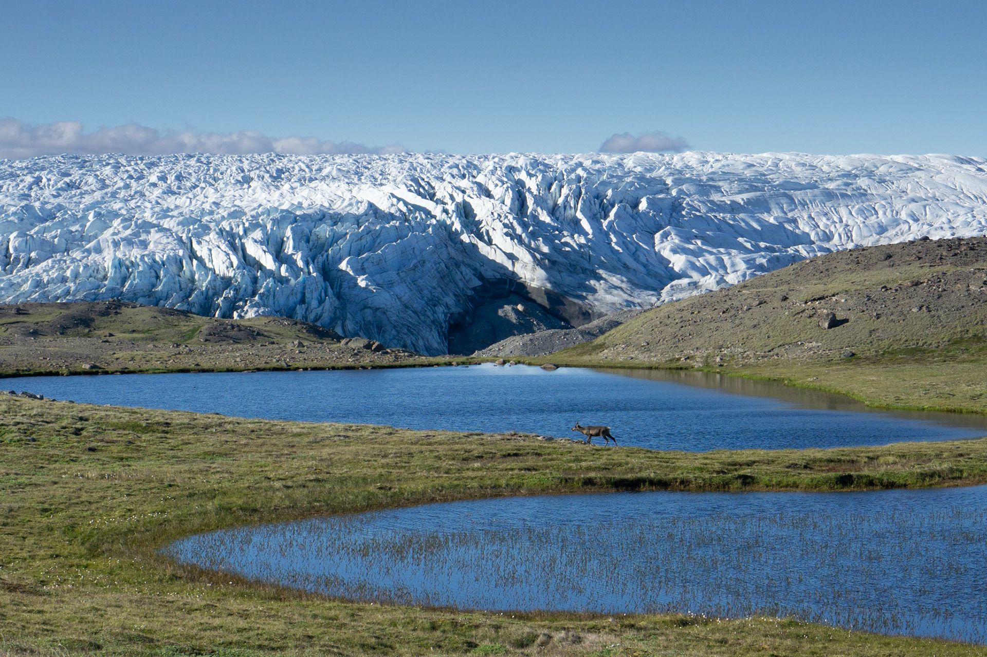 Greenland