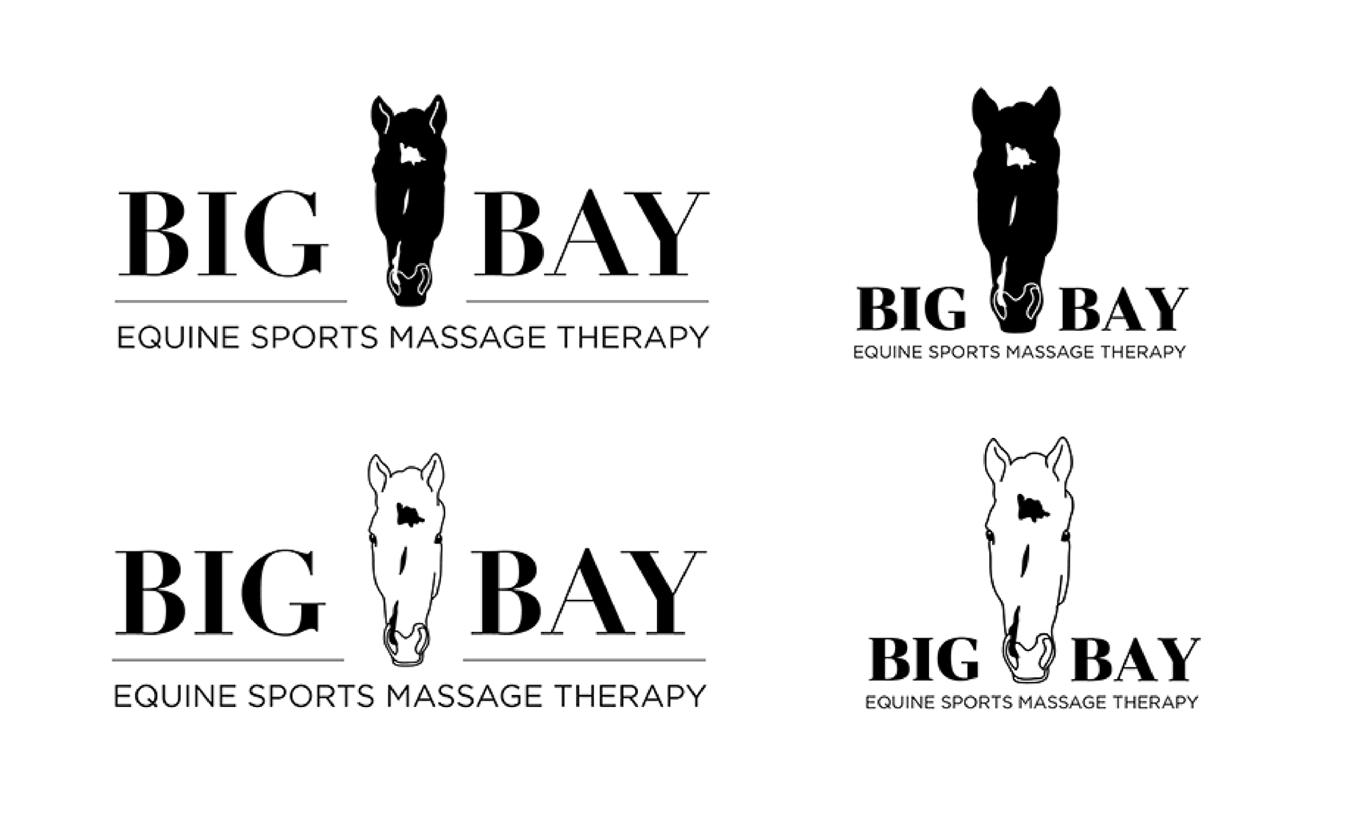 Big Bay Logo Options 2022