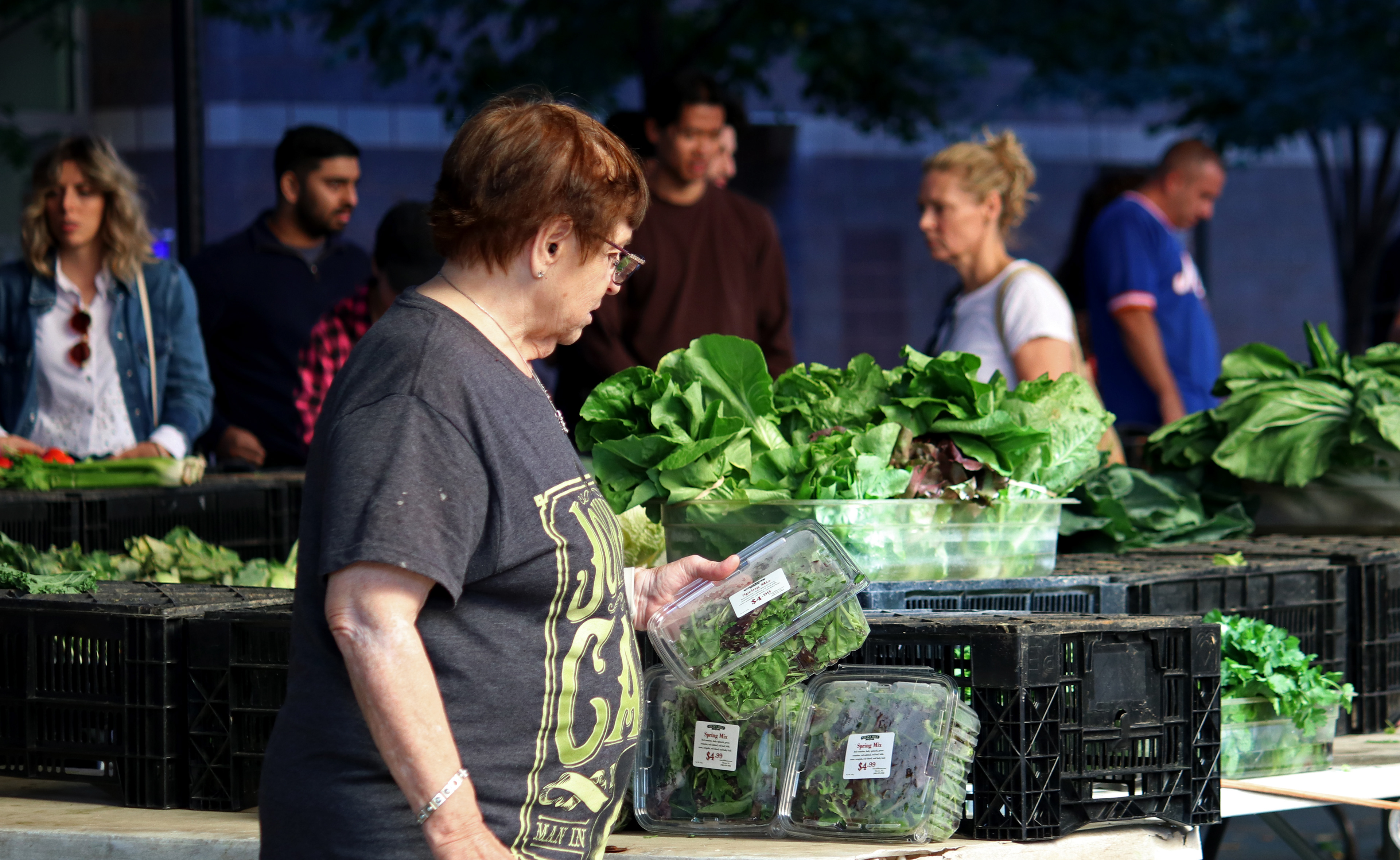 HOBOKEN, NJ, 10-05-2024 DEPTH OF FIELD WITH PEOPLE IN FRAME. A customer looks at the prices of lettuce at a farmers market in Hoboken, New Jersey, on October 5. The shallow depth of field creates a bokeh effect, blurring an interesting background of people actively shopping.