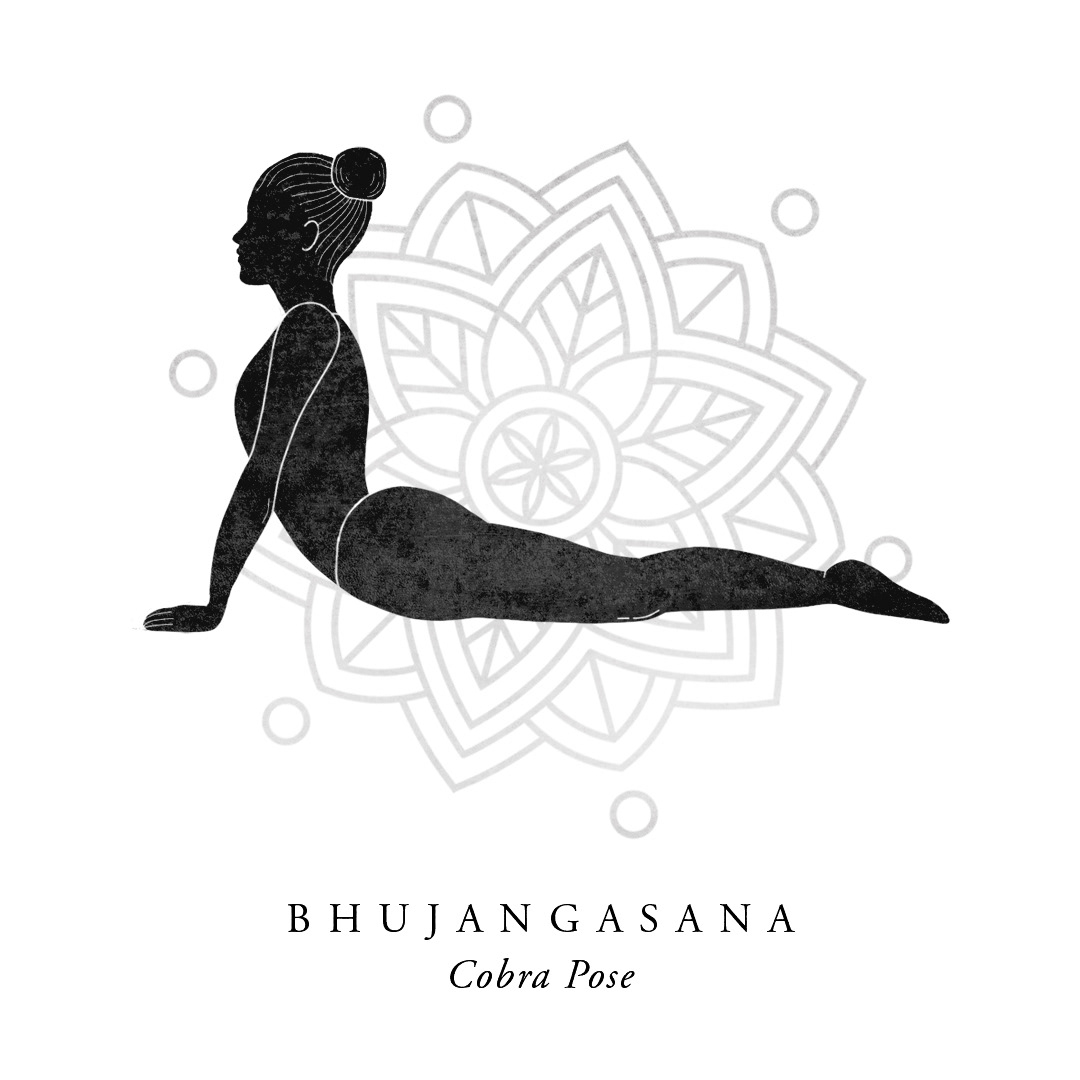Cobra Yoga Pose