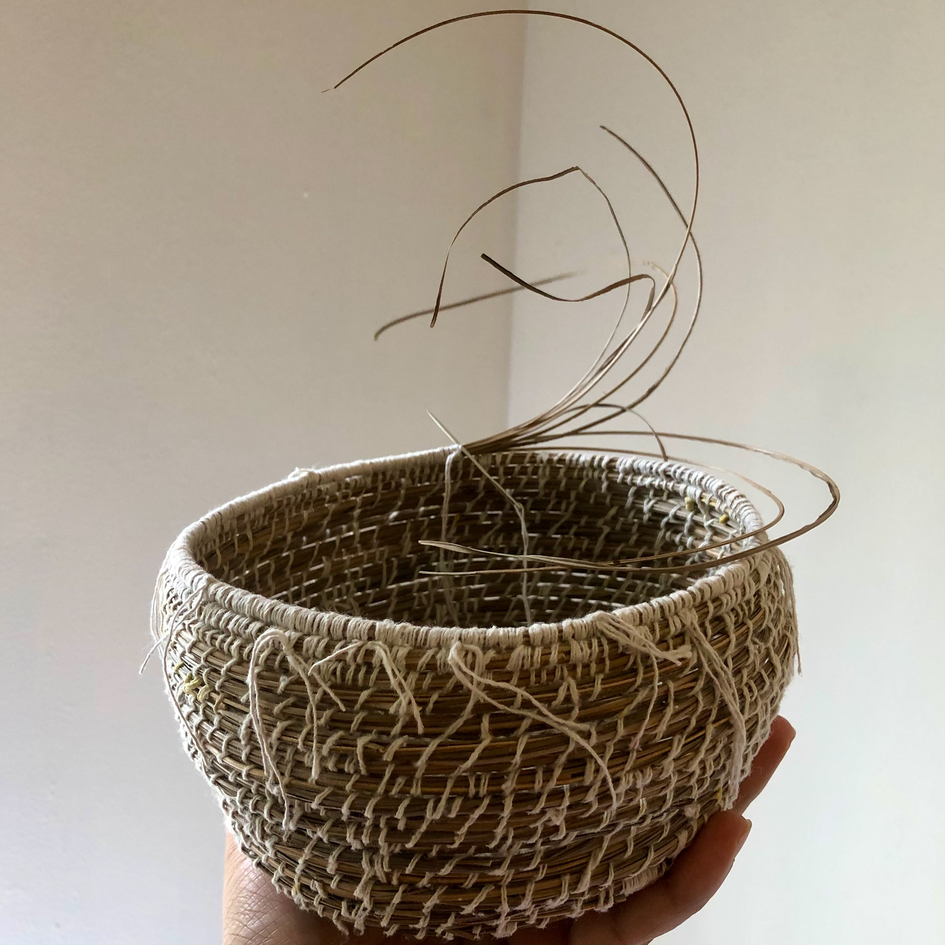 Palm leaf basket (2021) palm leaf, cotton // made from one fallen leaf