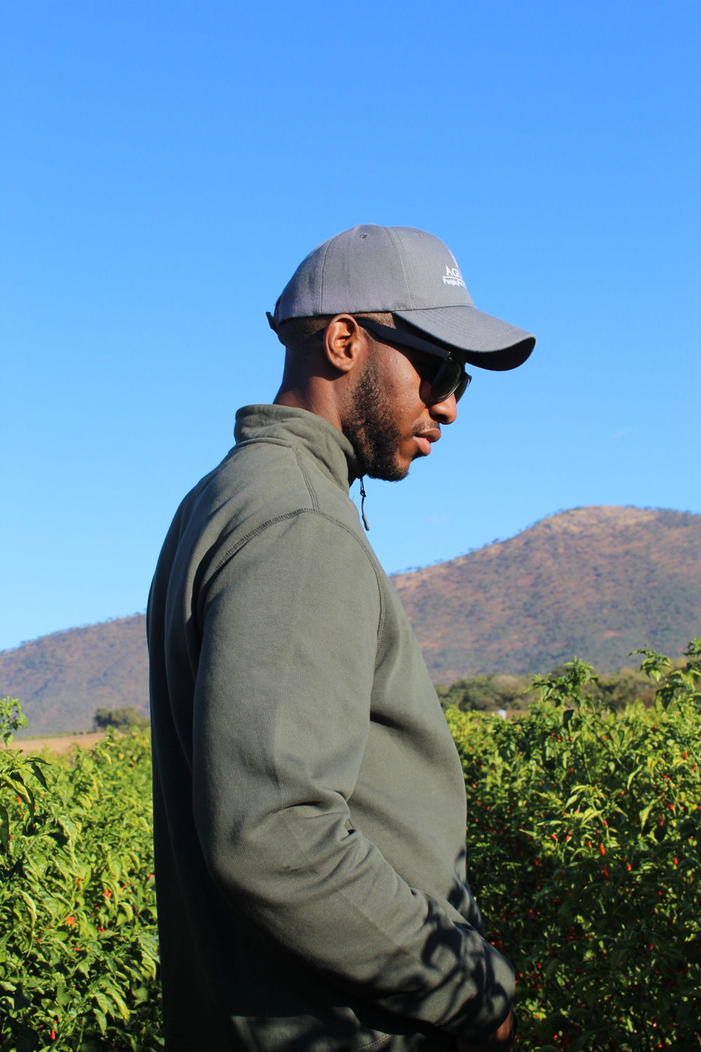 Although at this point farming is in the blood, the brothers feel a personal responsibility to ensure growth of the farm their parents bought in 1998.