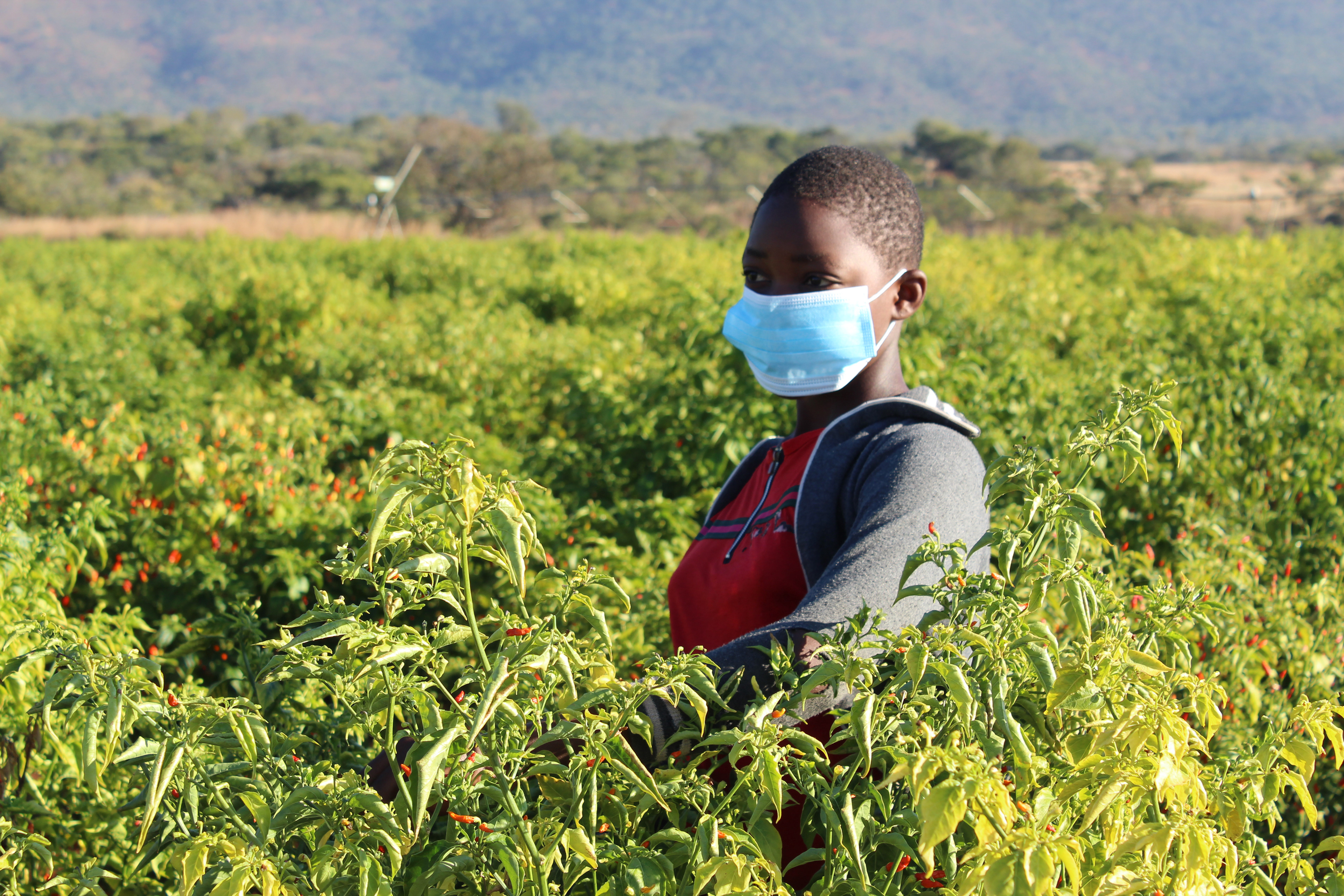 “We’re nothing without the people working the land, that makes it all possible” Mako expresses