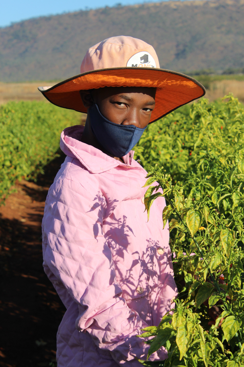 By hiring the wives of men already employed on the farm, they effectively improve the income of each household in the community.