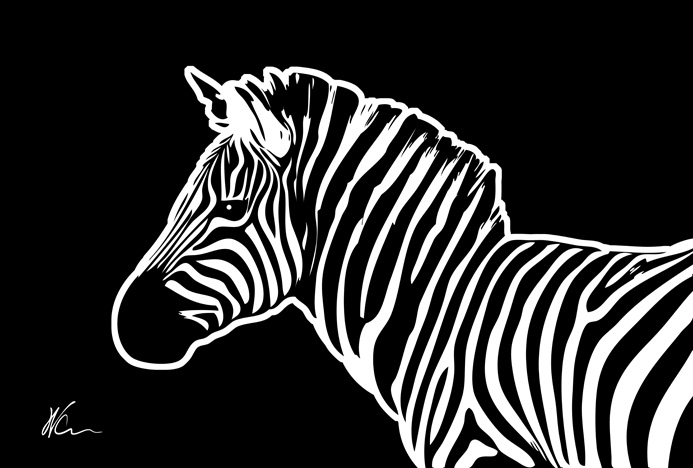 Zebra by William Cuccio