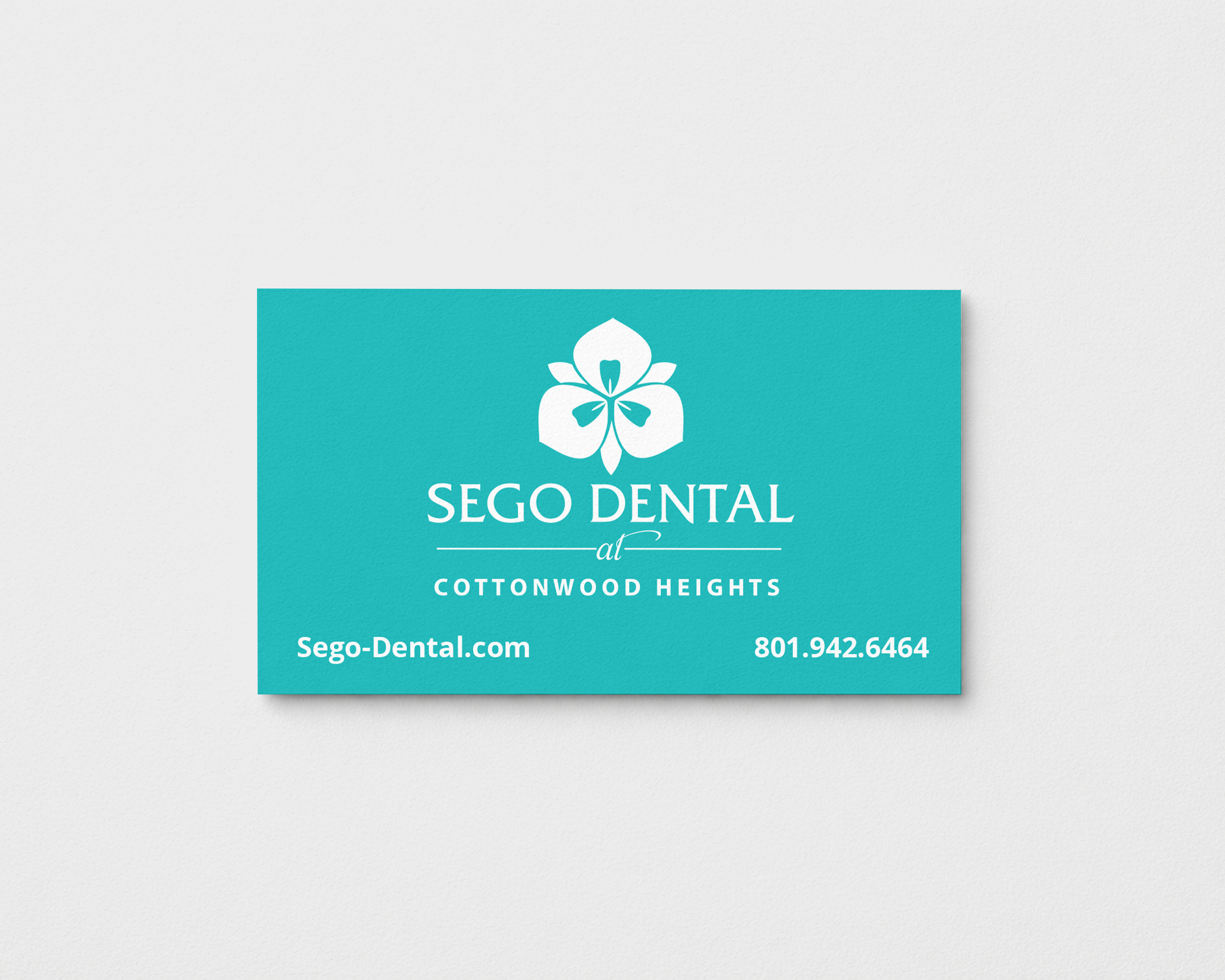 Sego Dental Business Card Design