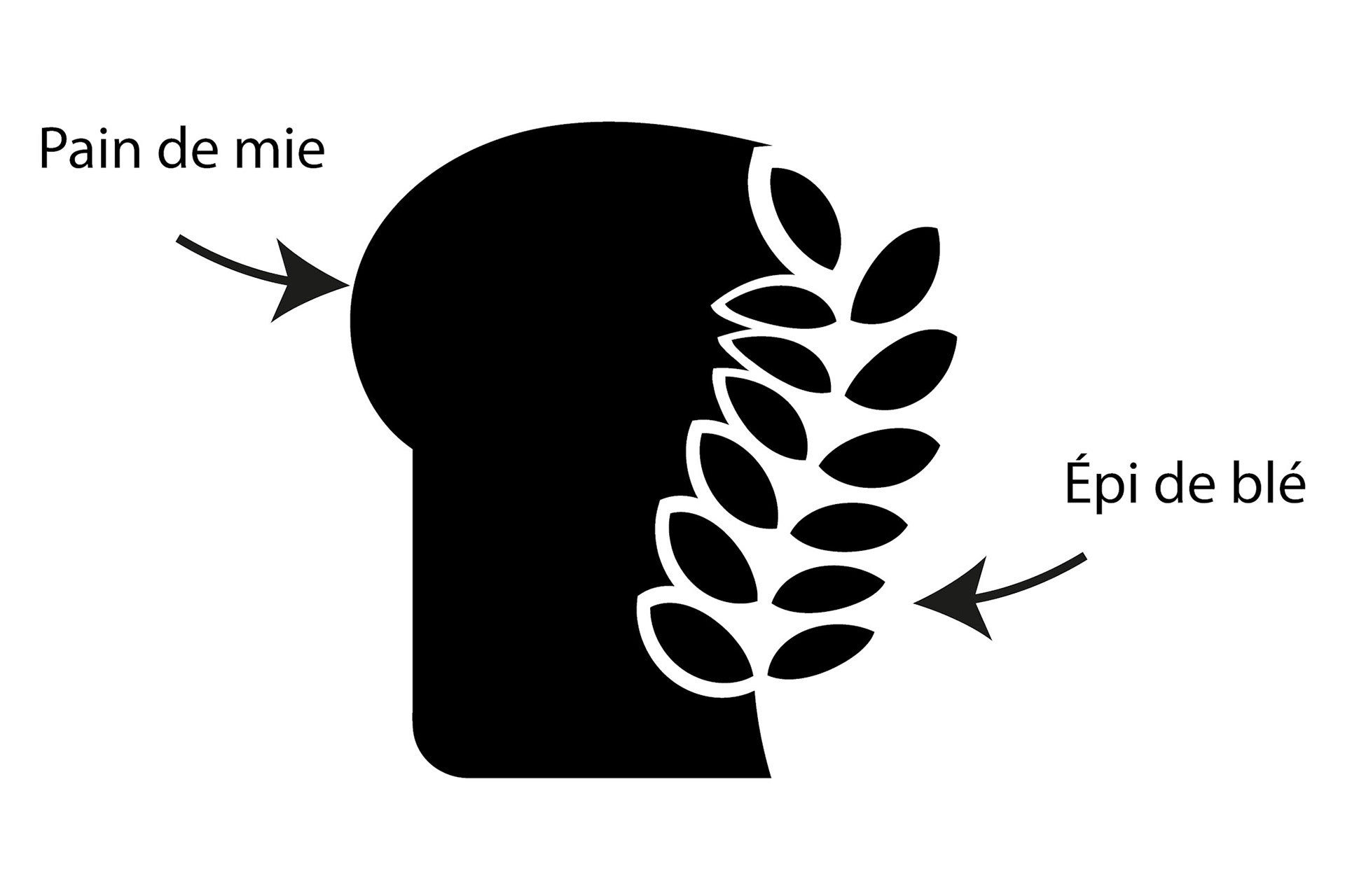 Construction du logo autour du pain et de l’épi de blé