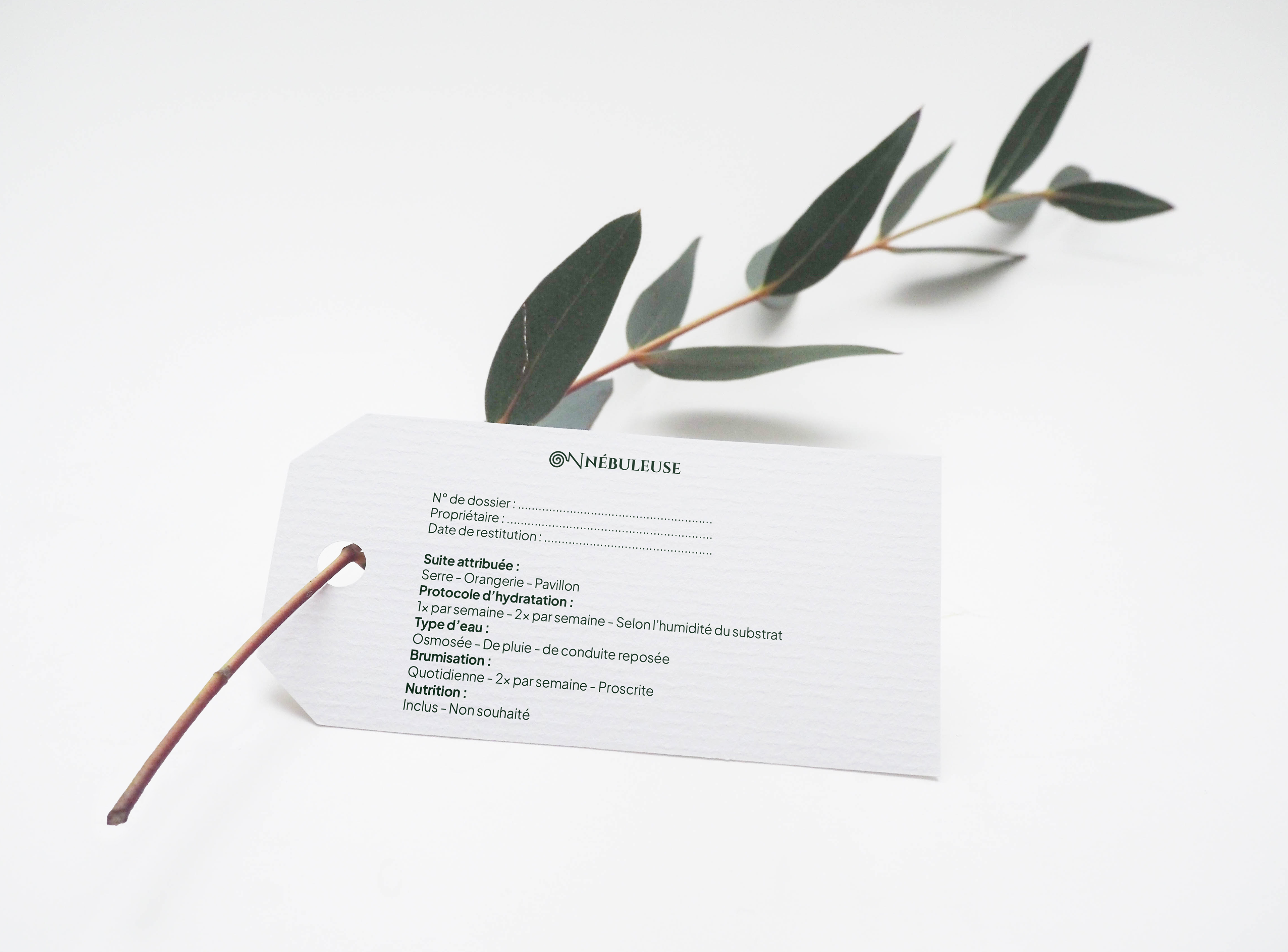 étiquette plante