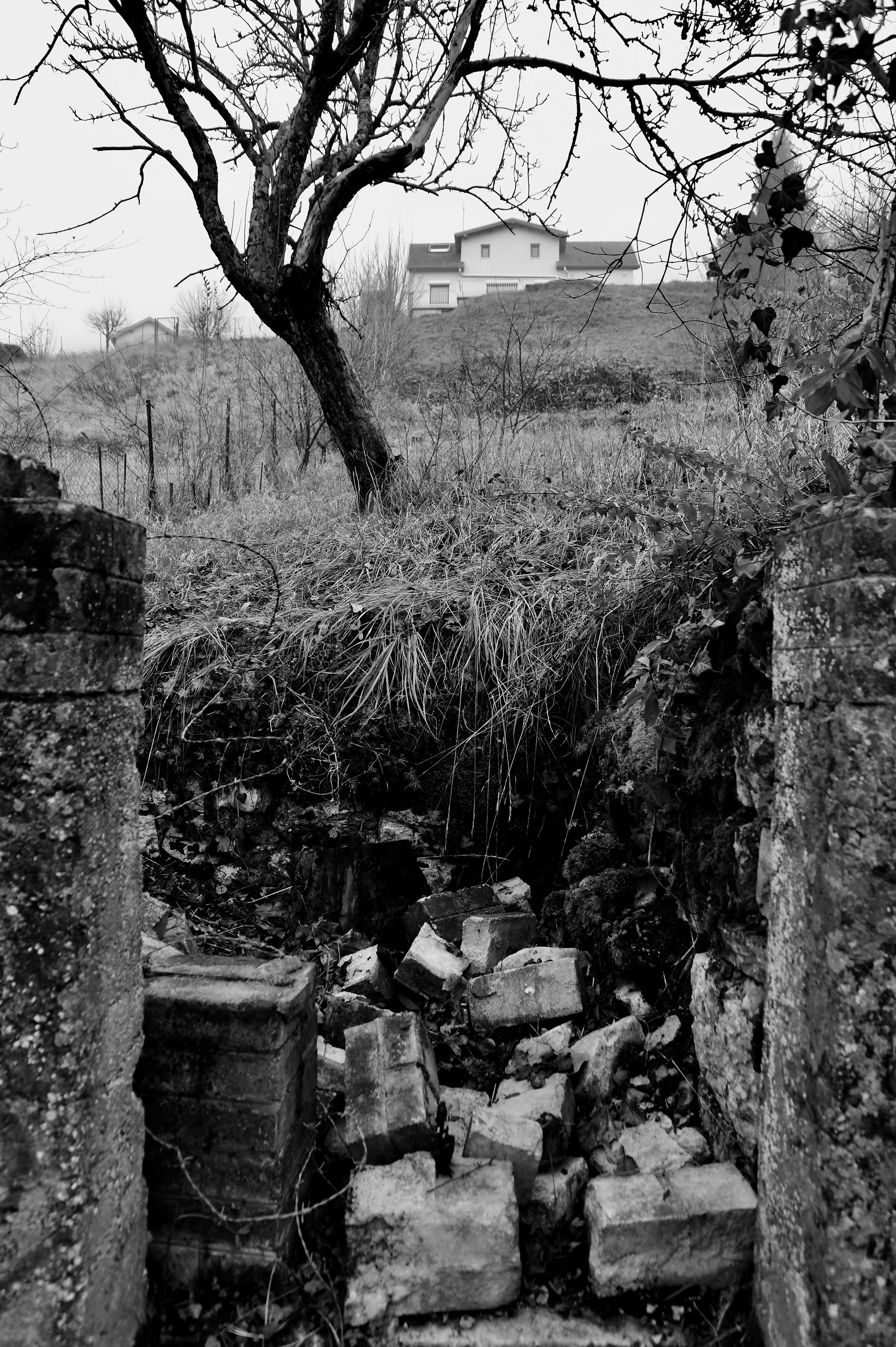Les ruines cachées