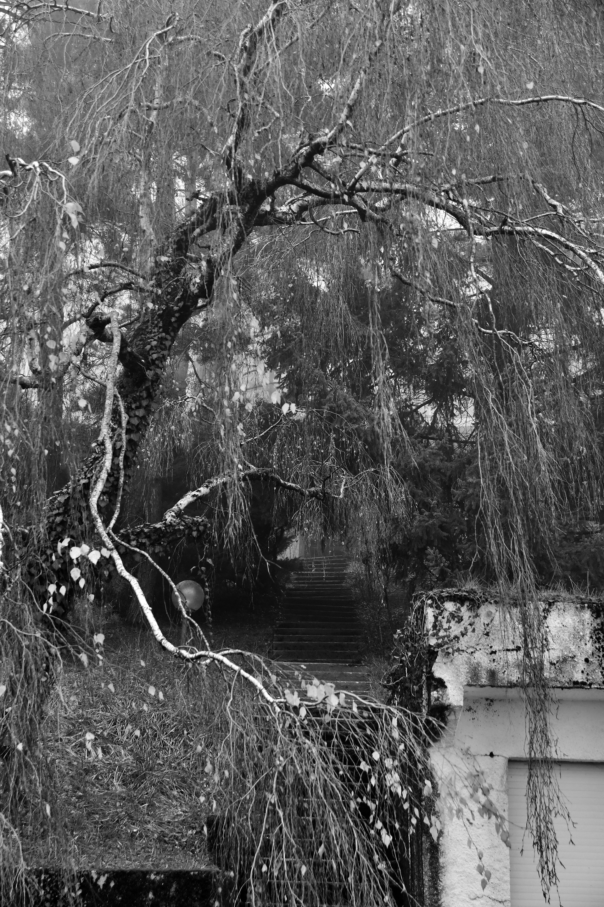 Le passage au sommet