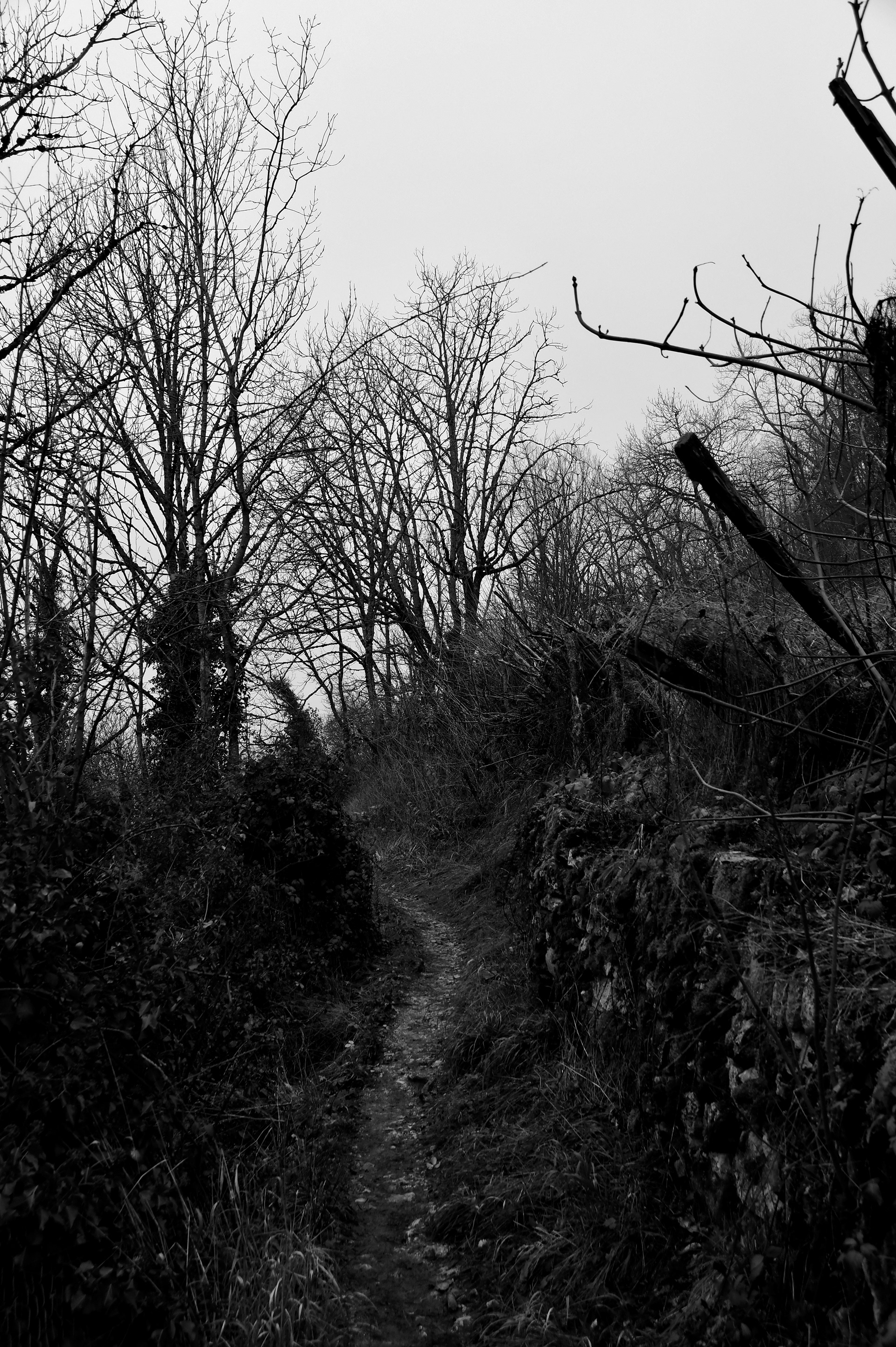 Le raccourci passable