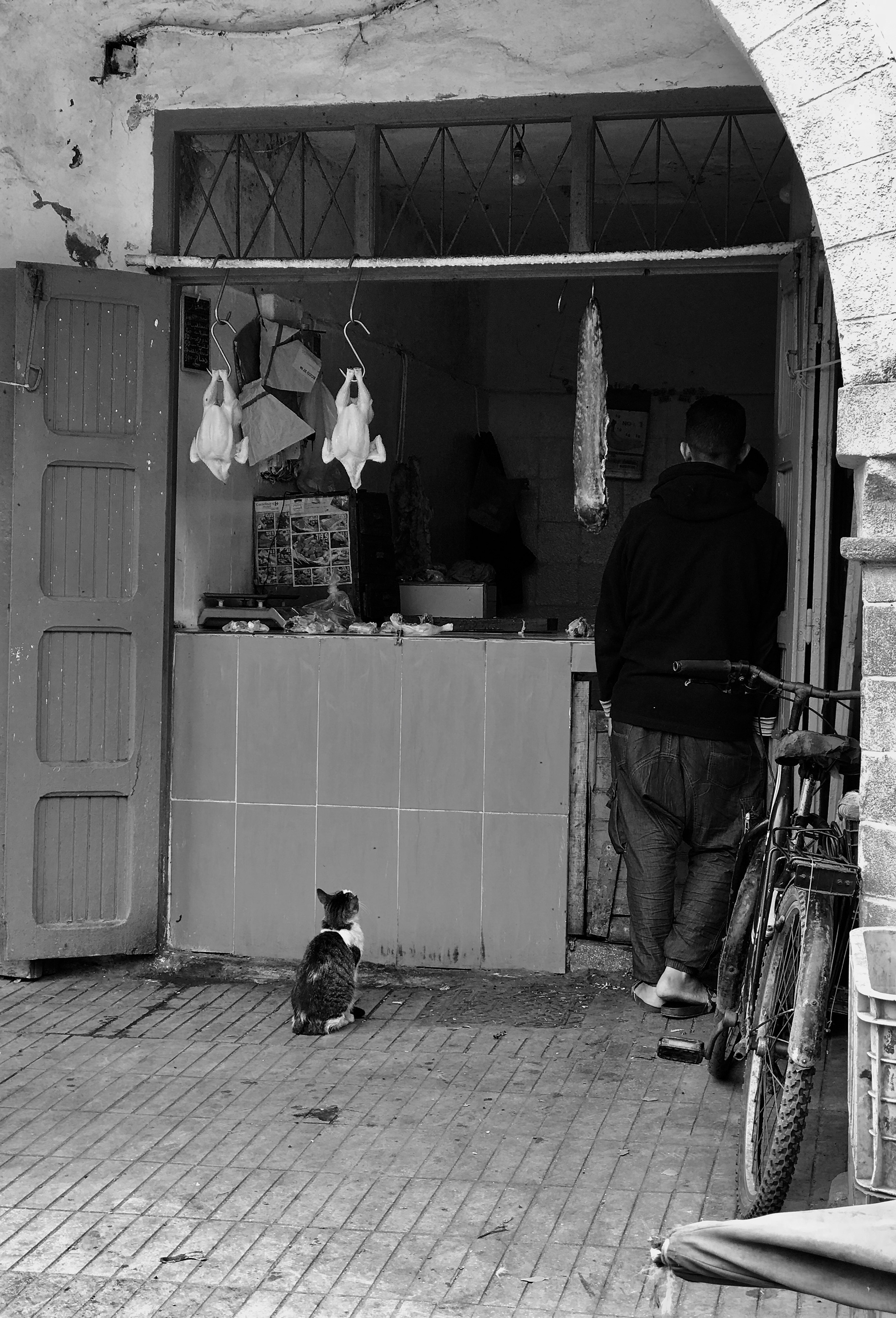 Essaouira