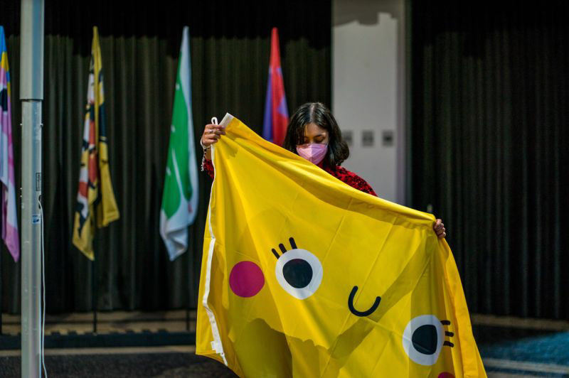 Pictoplasma