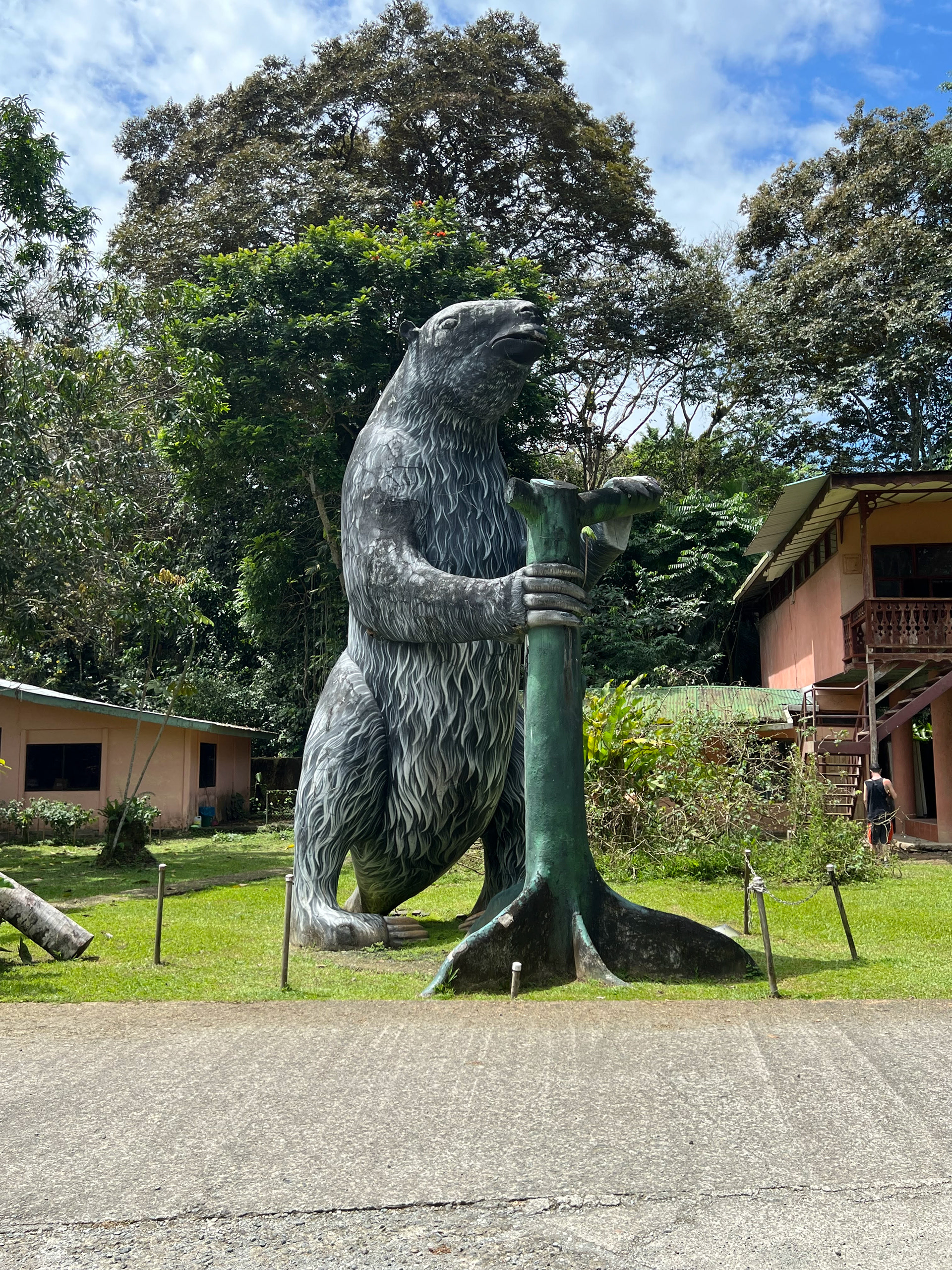 Sloth Conservatory 28.00 each