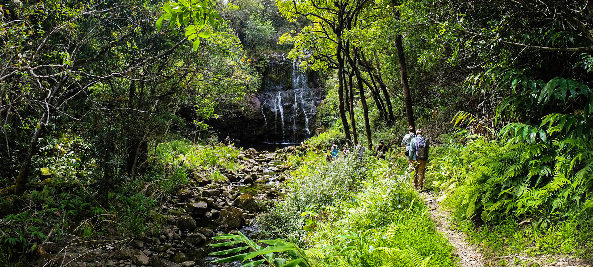 Kohala