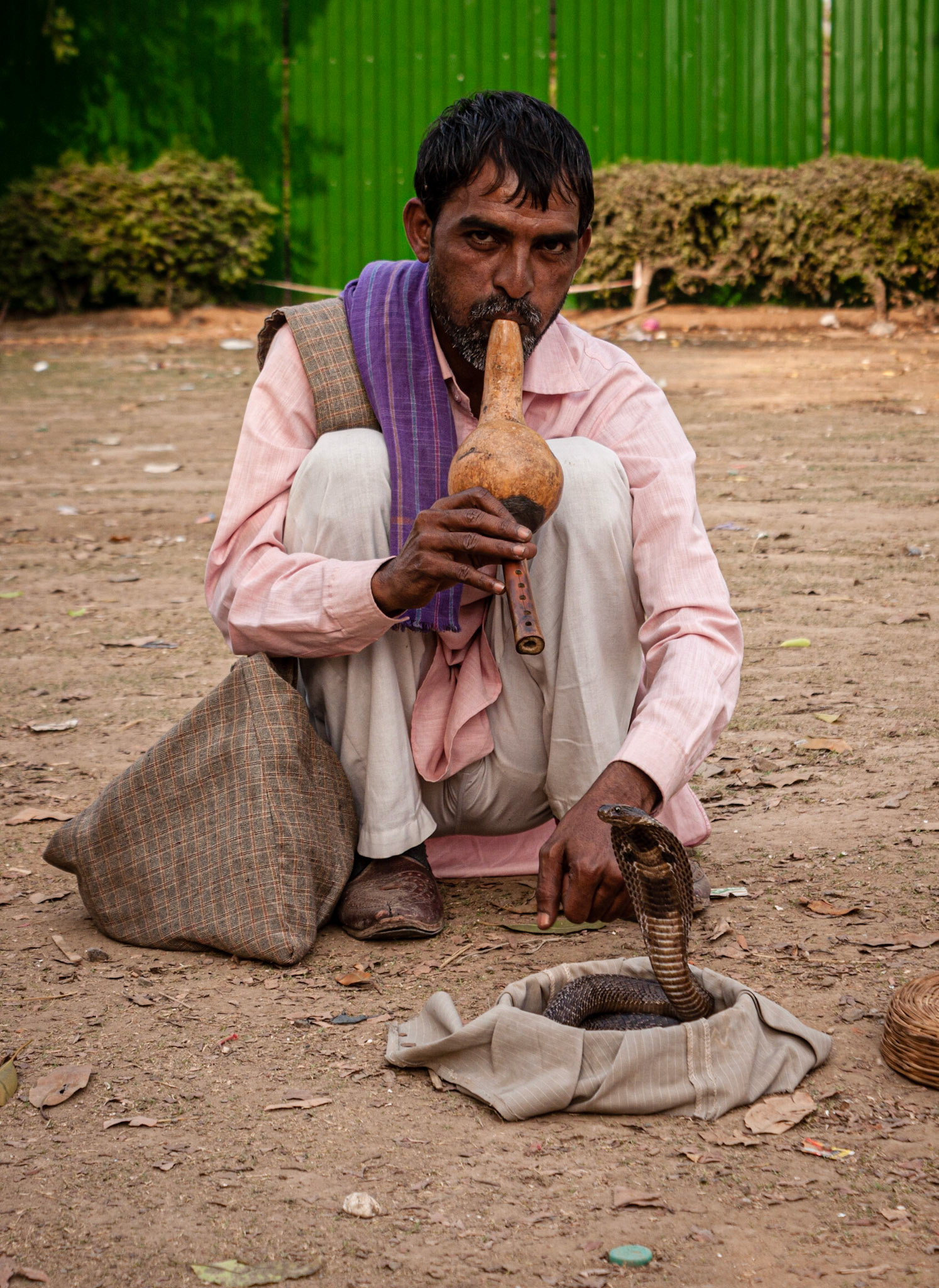 New Delhi - India Gate