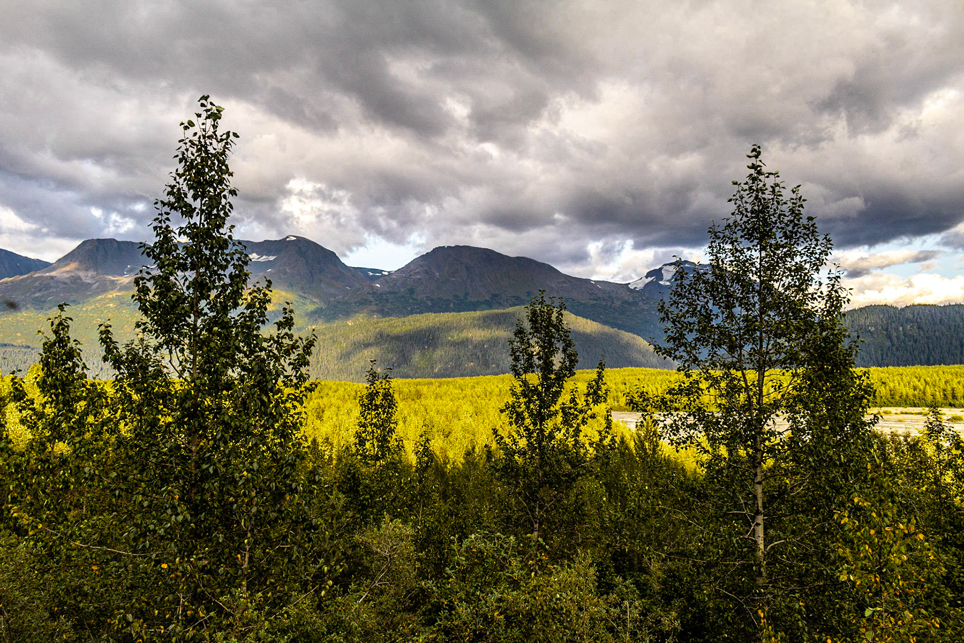 Exit Glacier