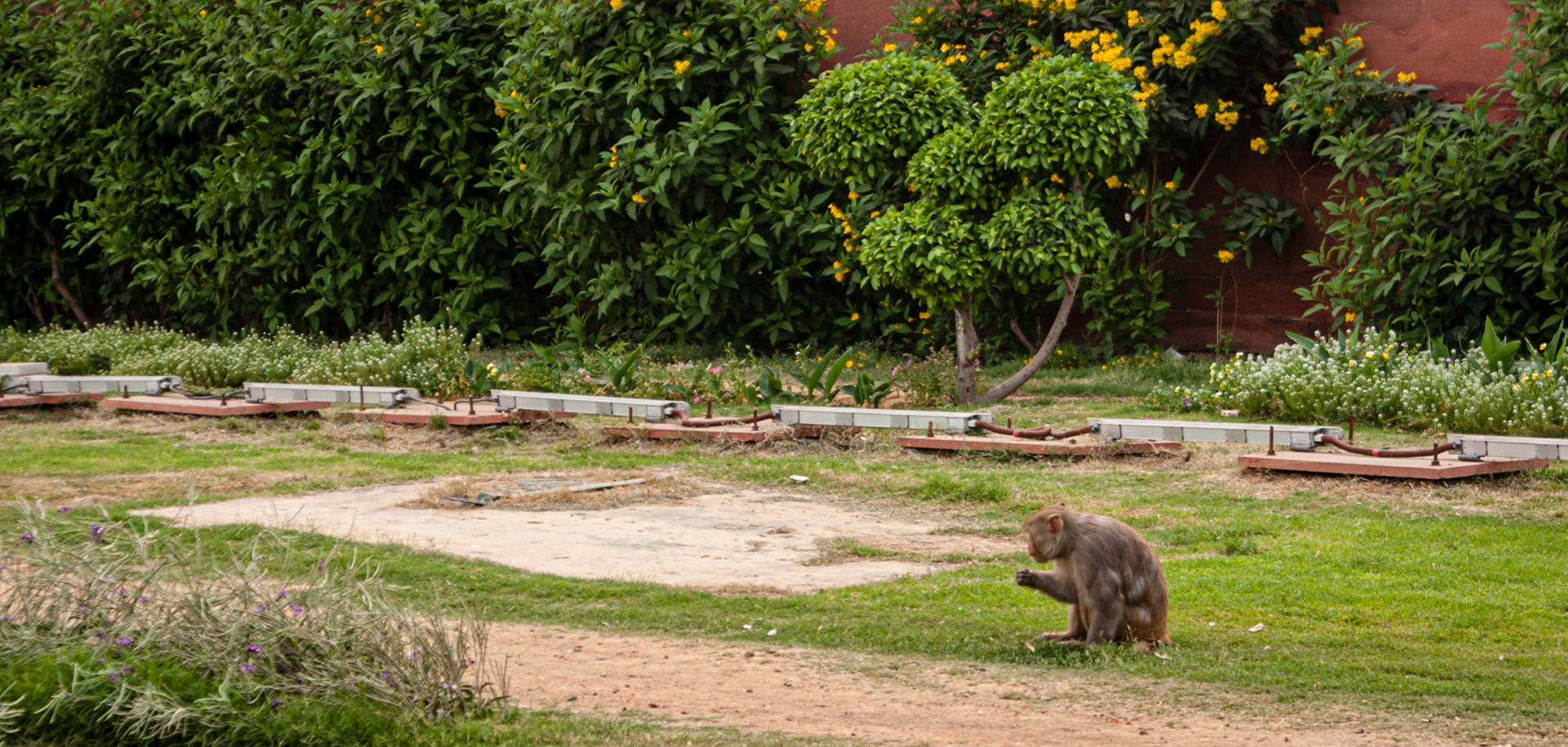 New Delhi - Rashtrapati Bhavan (The Presedential House)
