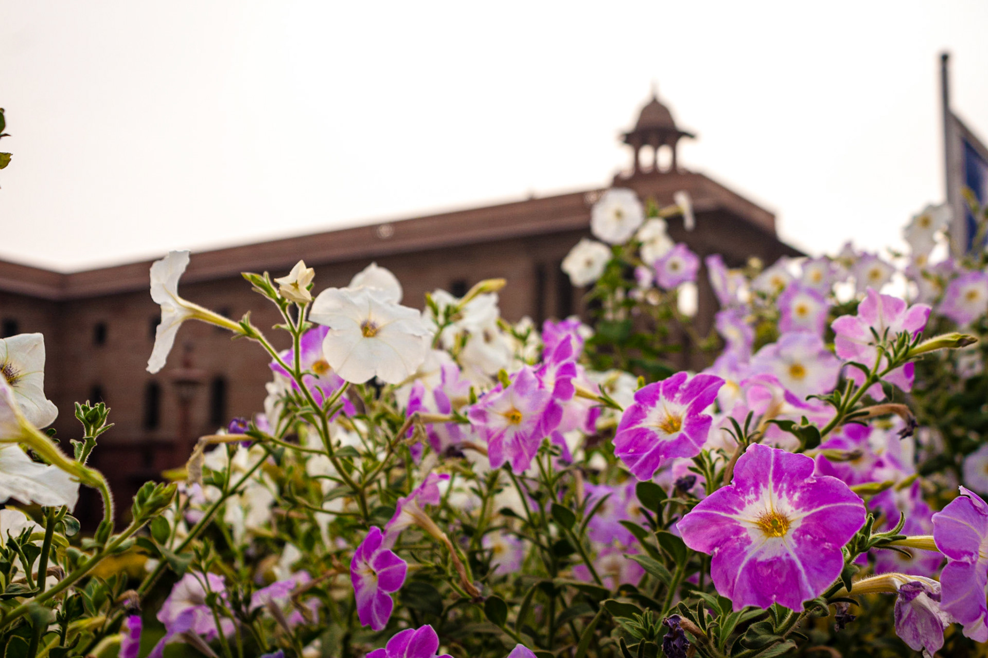 New Delhi - Rashtrapati Bhavan (The Presedential House)