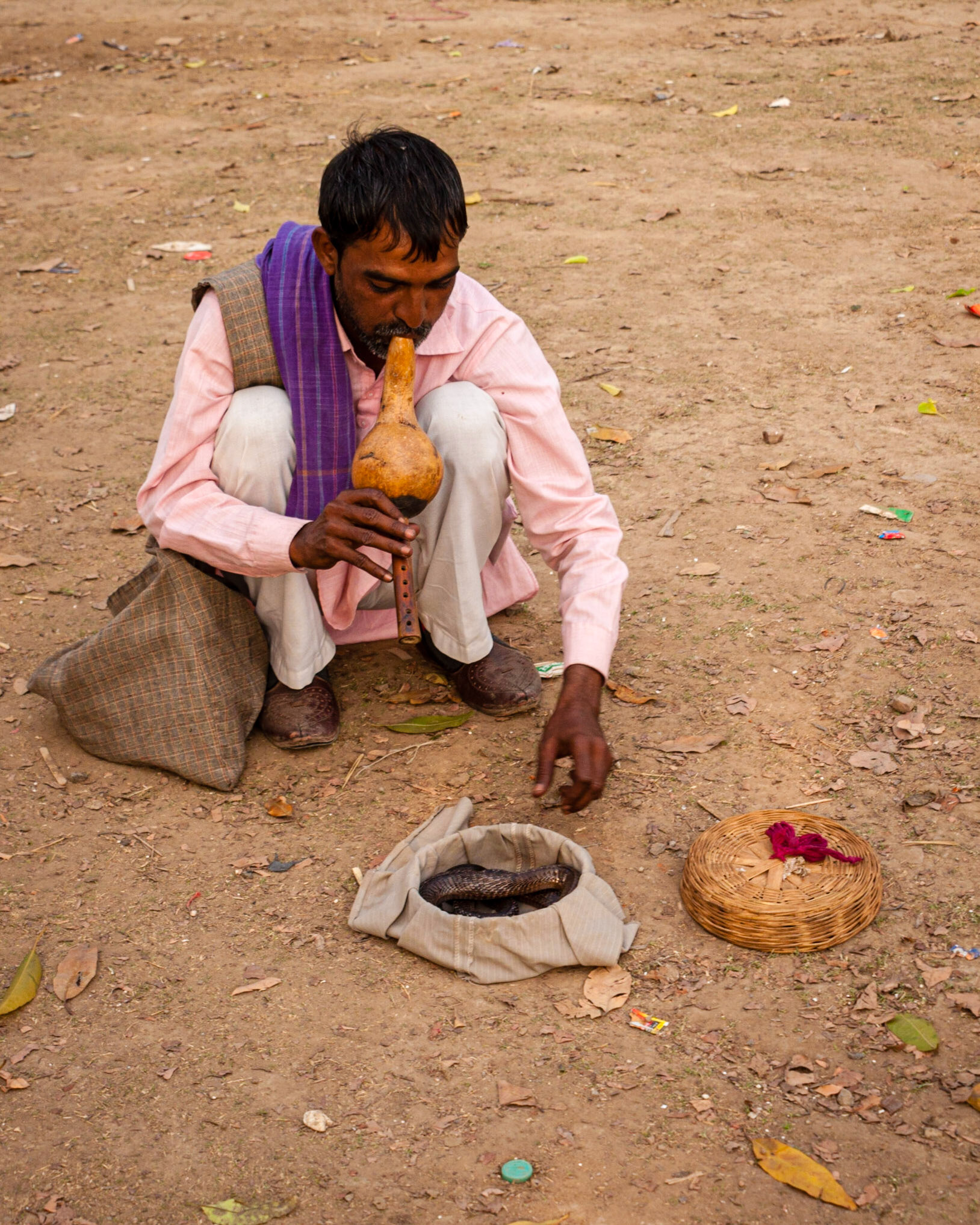 New Delhi - India Gate