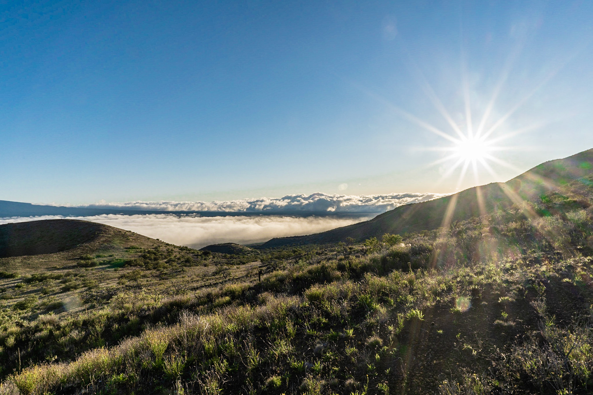 Mauna Kea