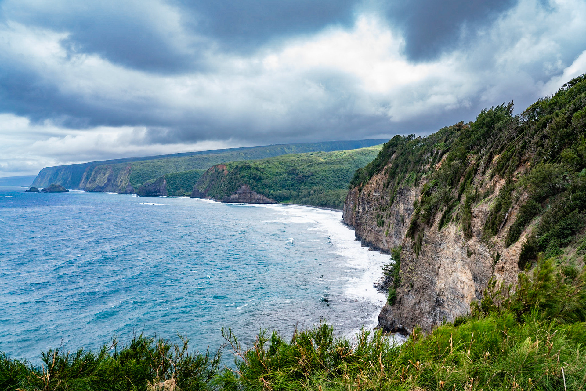 Kohala