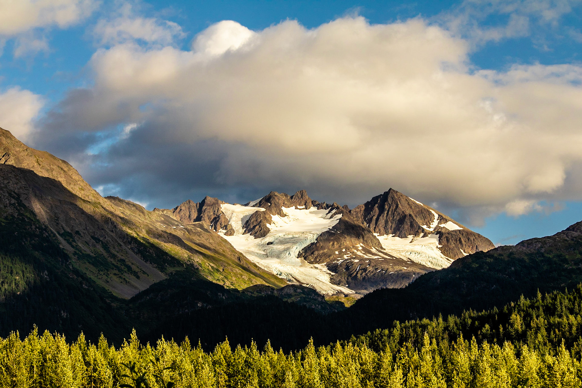 Exit Glacier
