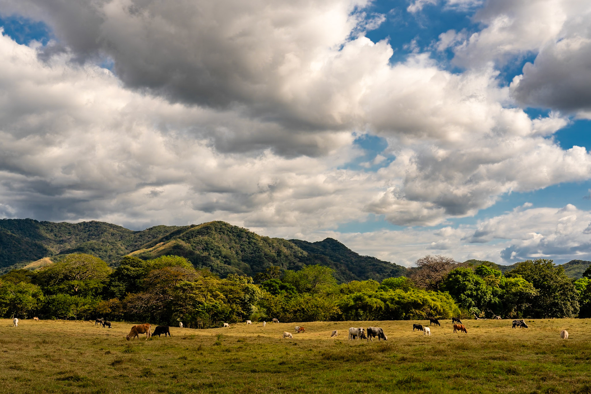 Costa Rica