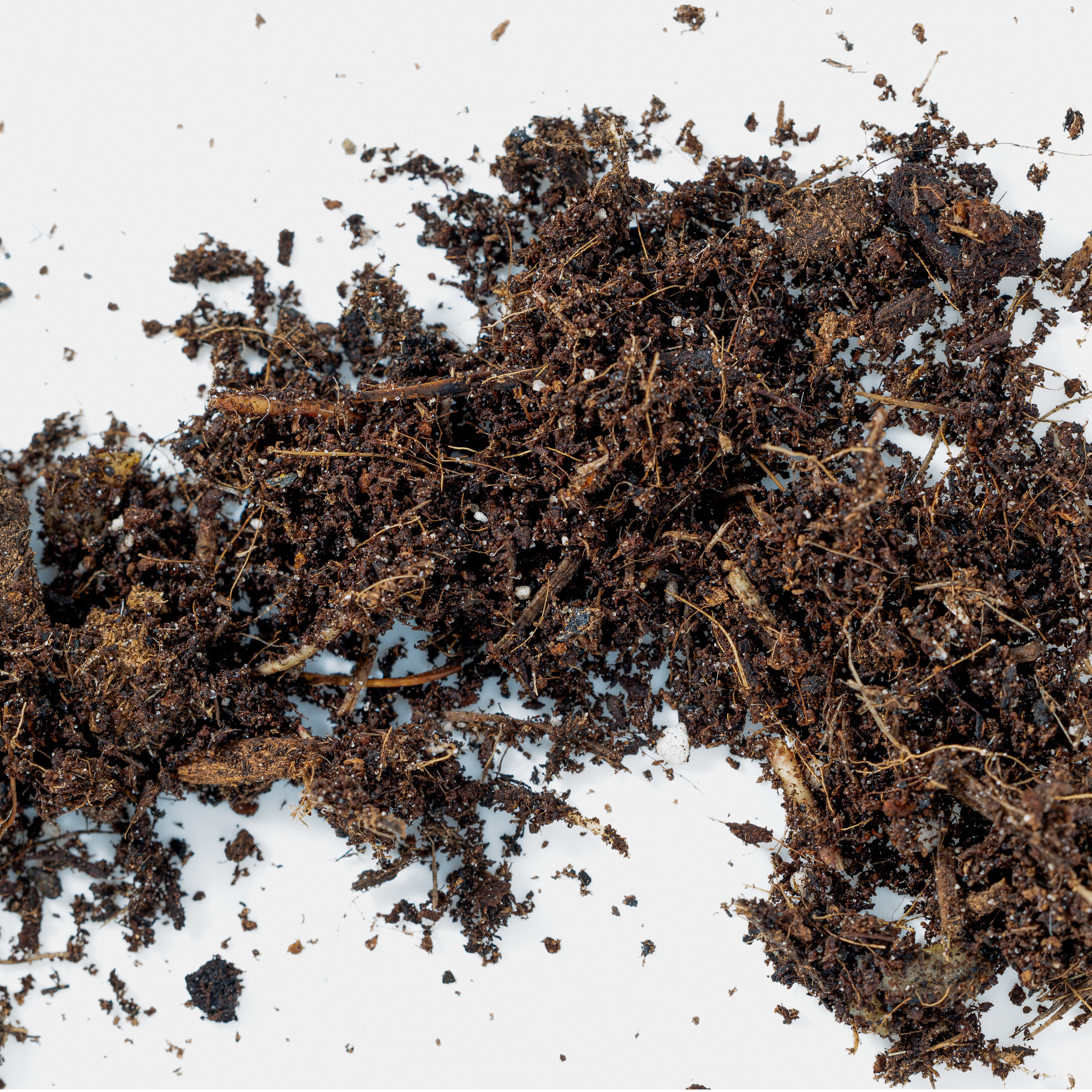 Soil
