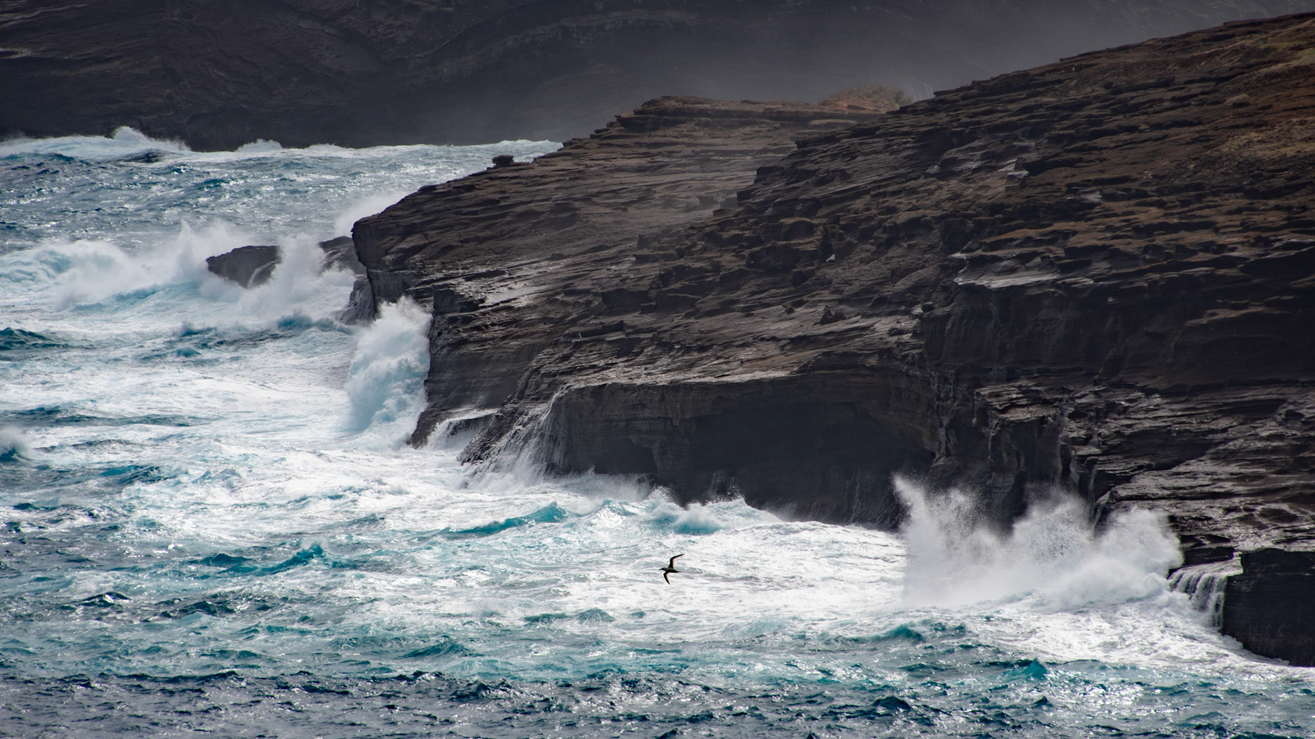 Oahu, March 1, 2018