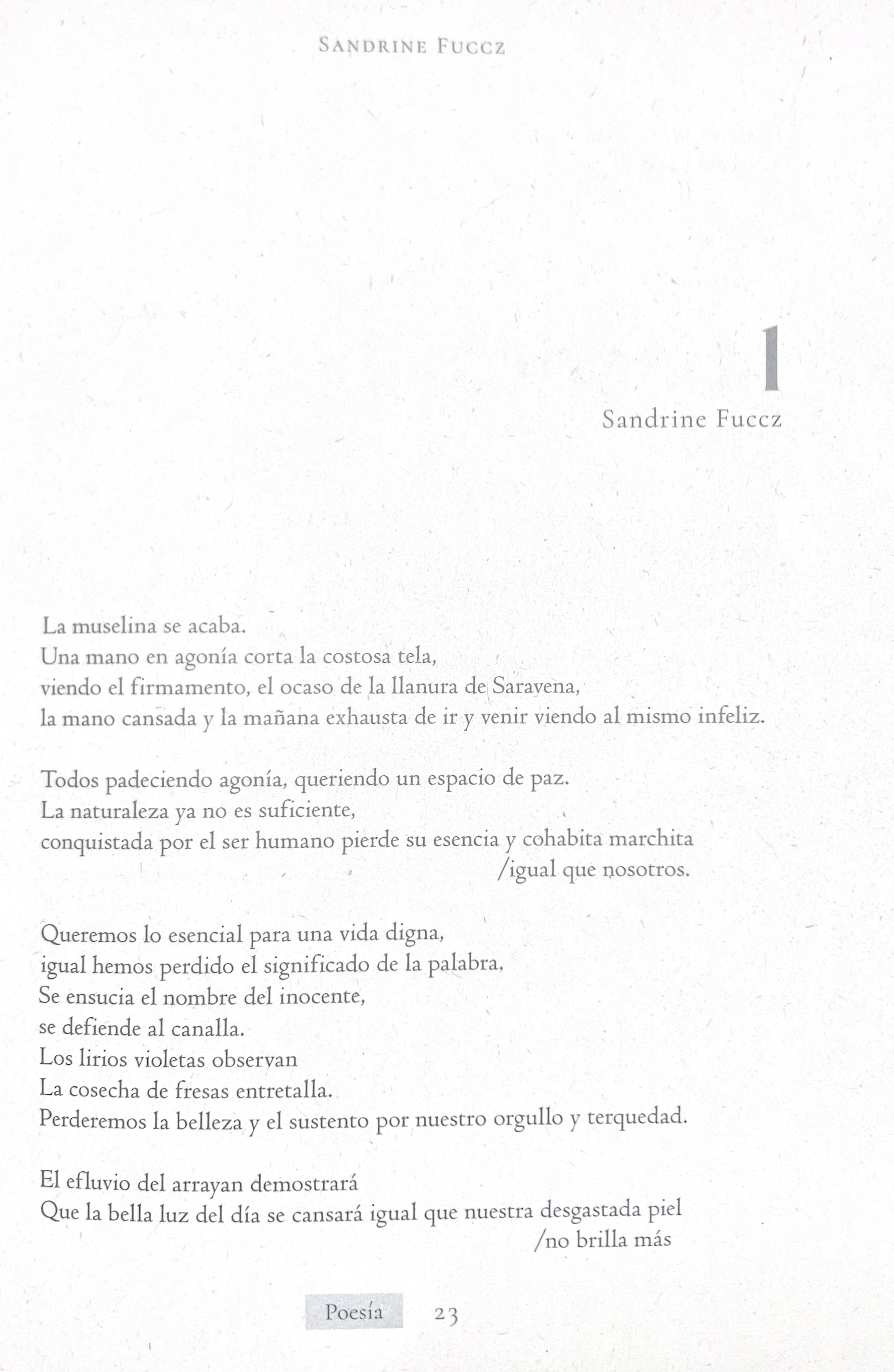 Poetry writing. Magazine "A trozos" (2023)