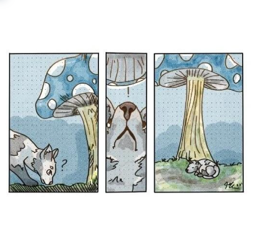 Graphic Novel Test Frames