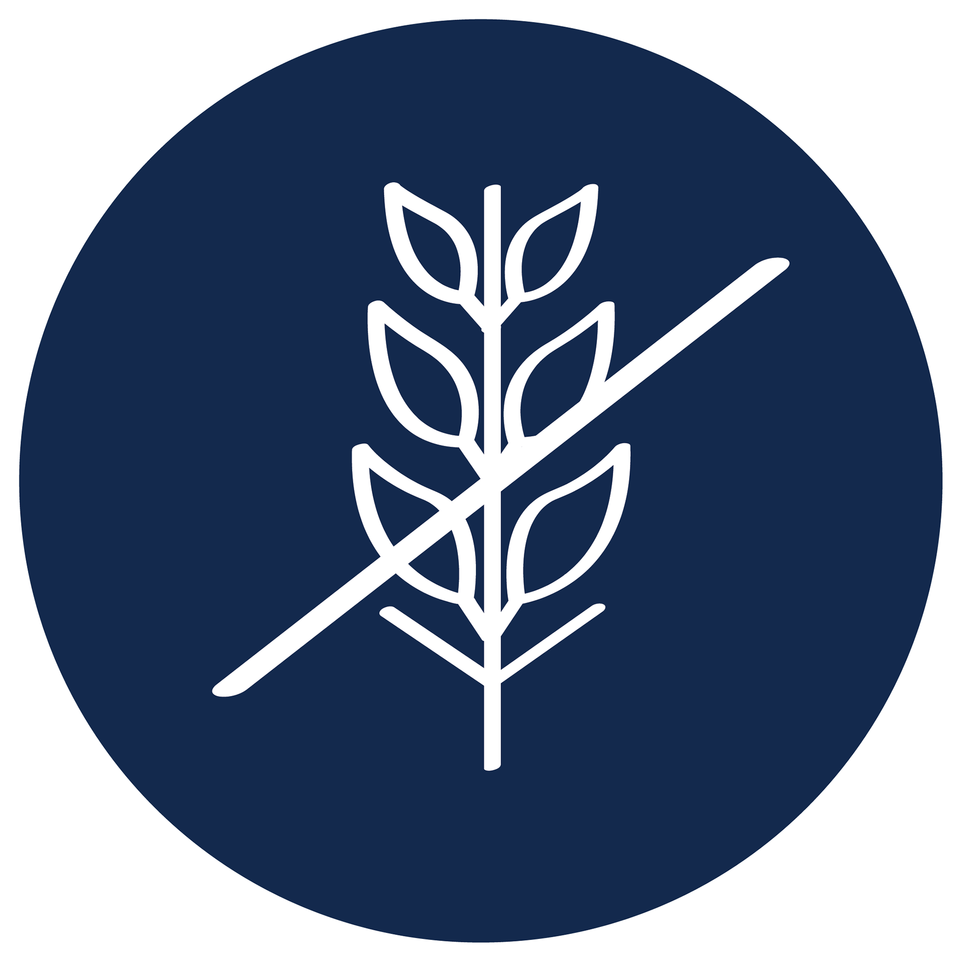 Glutenfri
